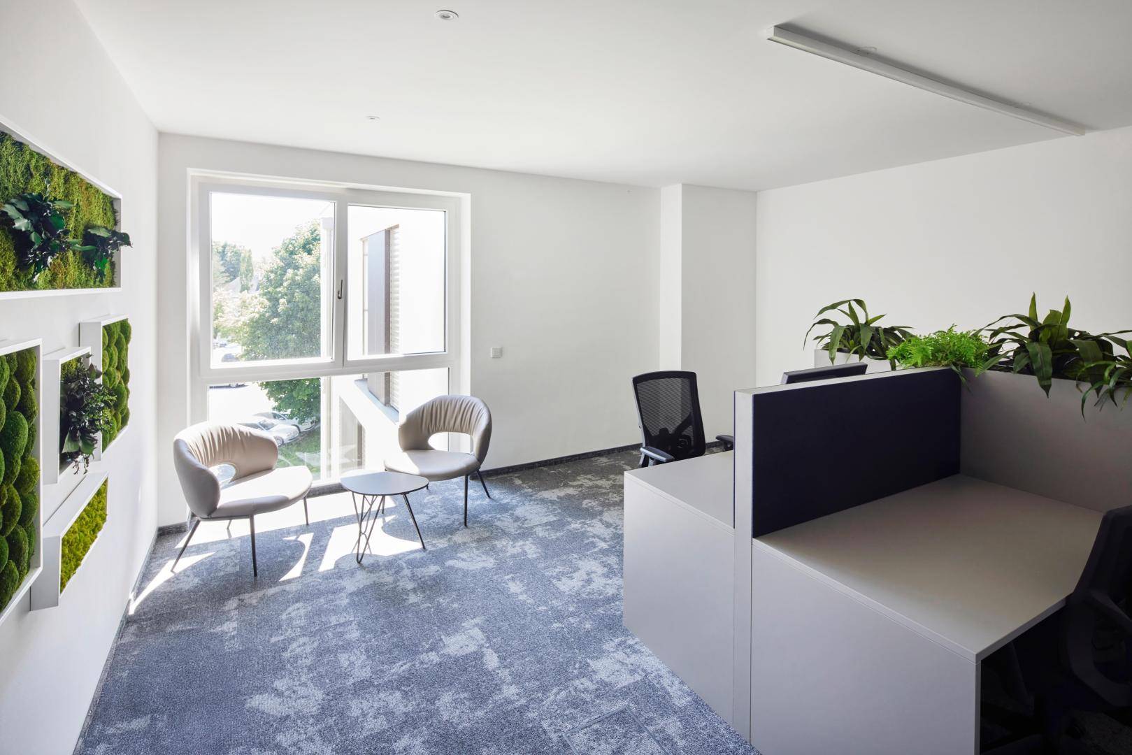 SCL_Workspace allgemein