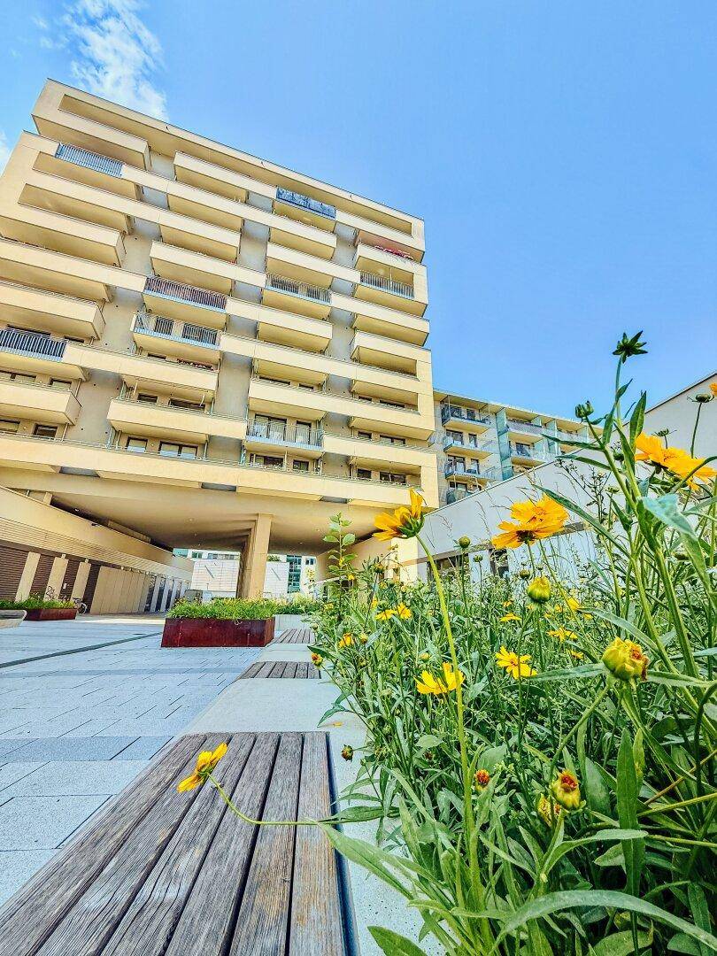 Moderne Wohnanlage mit gelben Blumen im Vordergrund und klarem blauen Himmel.