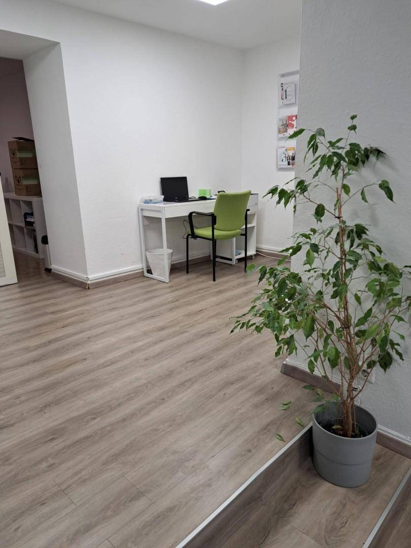 Heller Bürobereich mit einem Schreibtisch, Bürostuhl und einer großen Zimmerpflanze, schlicht eingerichtet.