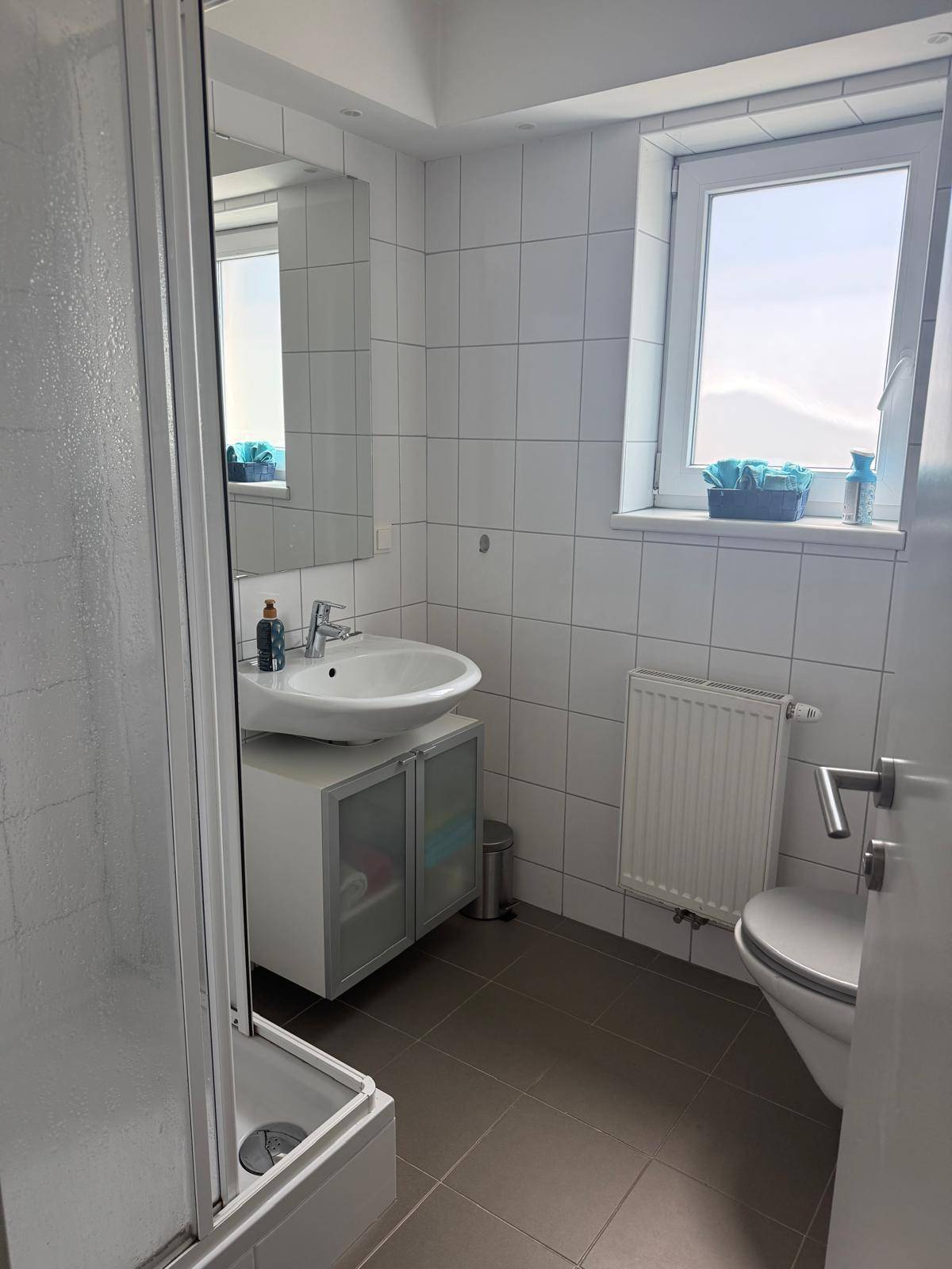 Modernes Badezimmer mit Dusche, Waschbecken und Fenster.