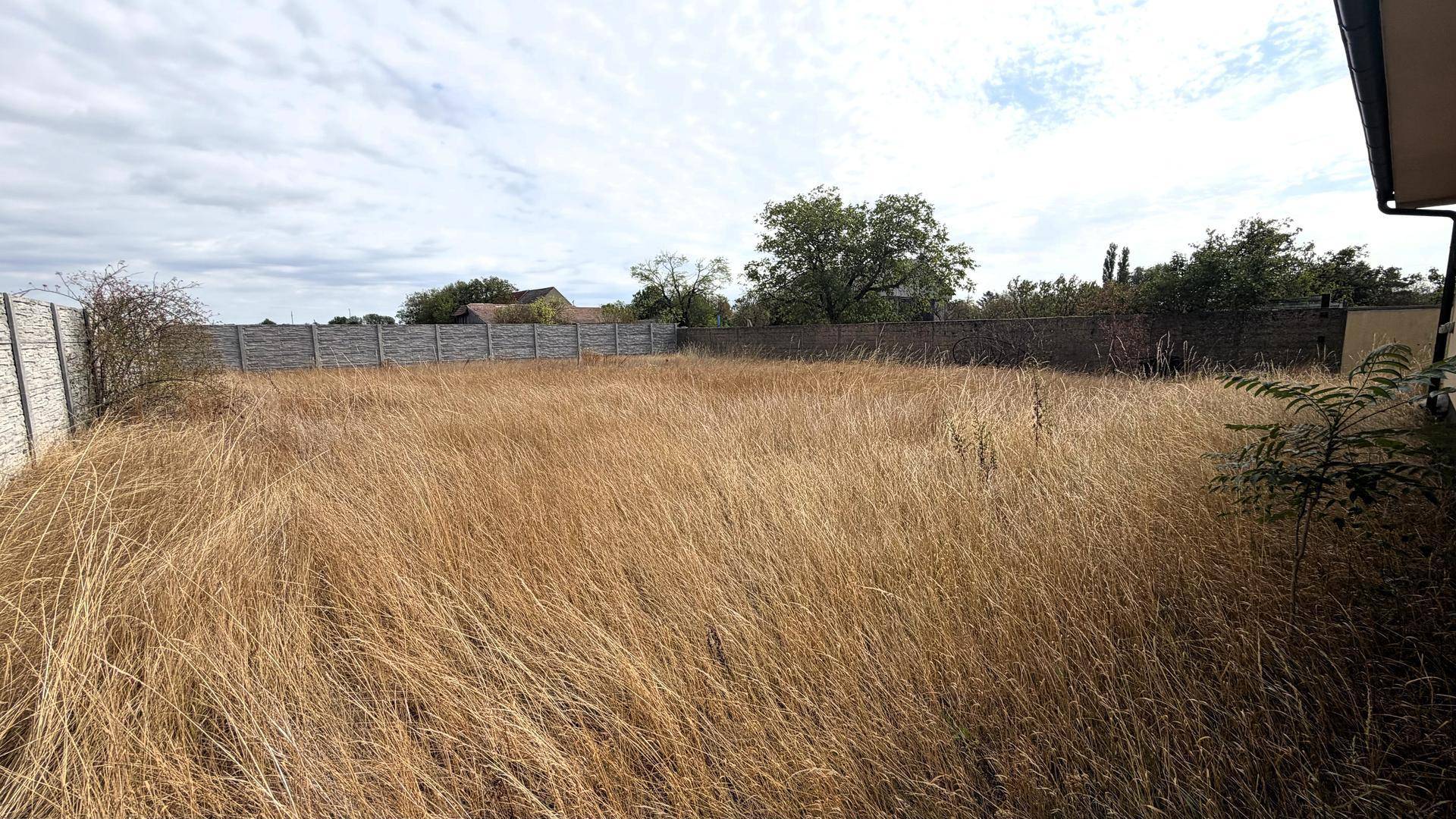 Großer, unbewirtschafteter Gartenbereich mit hohem Gras und Zaun.