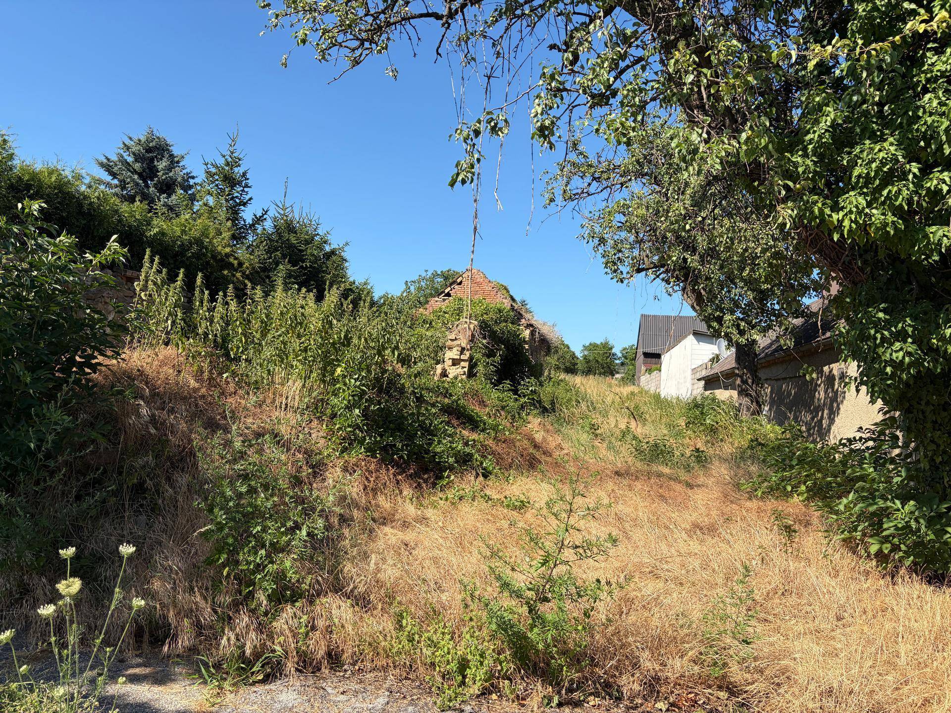 Trockenes, sonniges Grundstück mit alter Bausubstanz im Hintergrund und üppiger Vegetation.