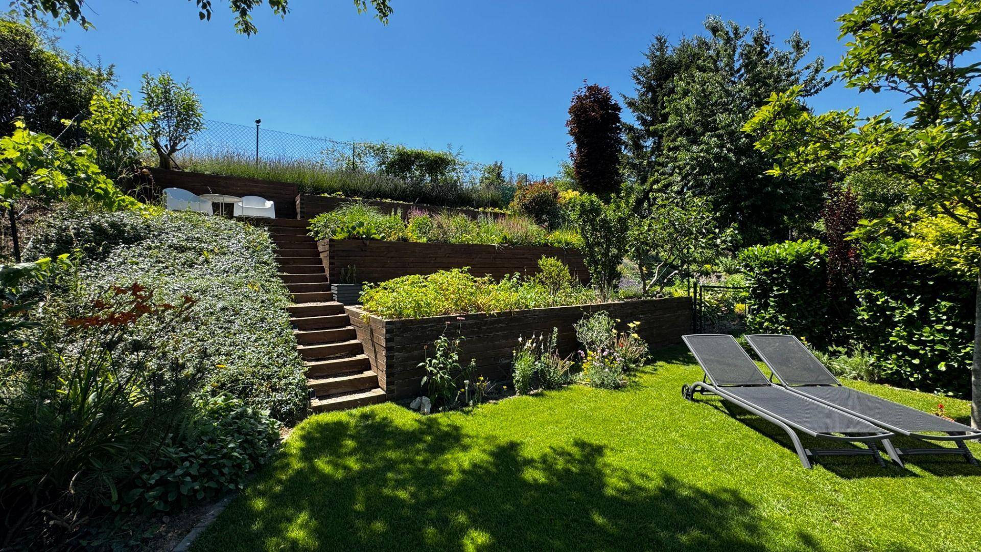 Gestufter Gartenbereich mit Treppen, vielfältiger Bepflanzung und Liegestühlen auf dem Rasen.