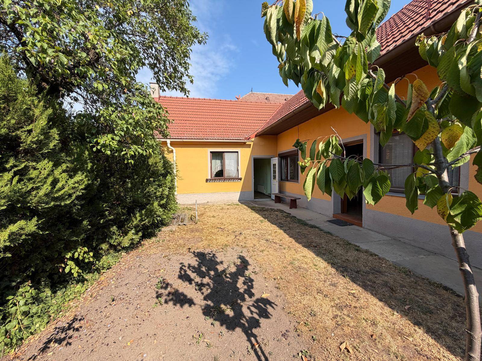 Hinterer Gartenbereich des Hauses mit Rasenfläche und umgebenden Bäumen an einem sonnigen Tag.