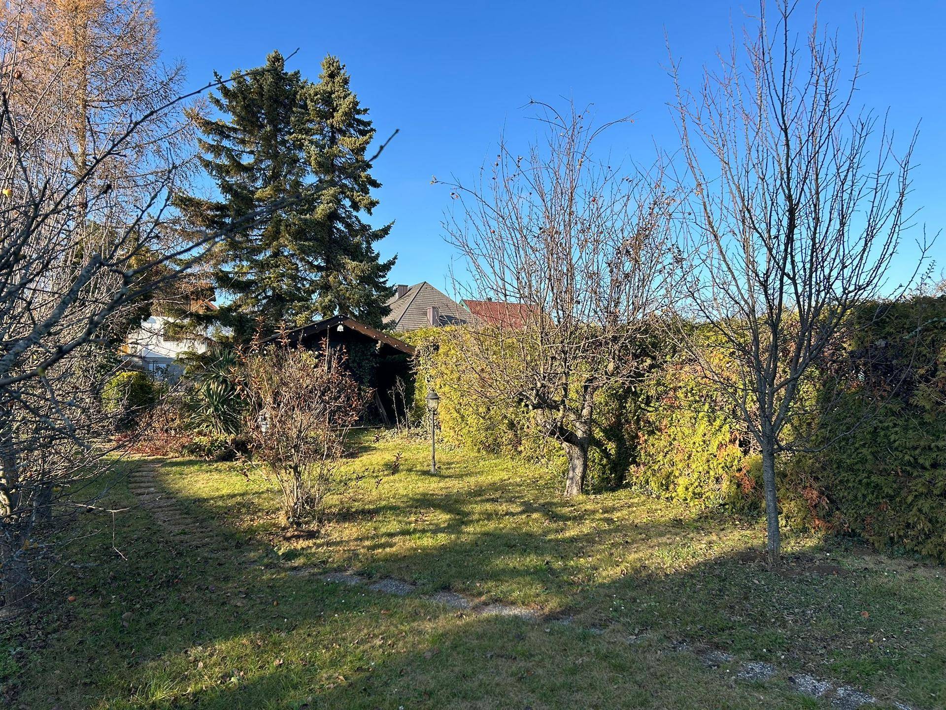 Großer, sonniger Garten mit Rasenfläche, Hecken und verschiedenen Bäumen.