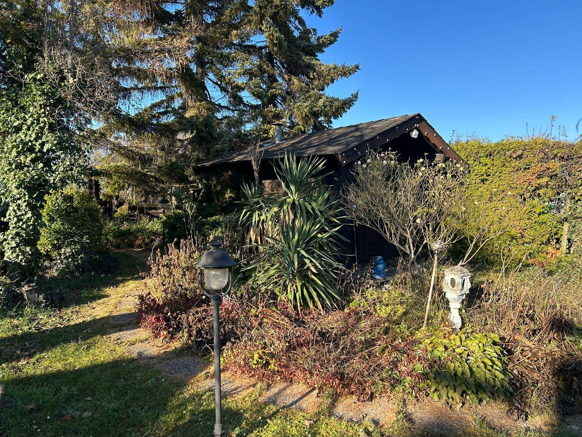 Gepflegter Garten mit Gartenhaus, üppiger Vegetation und altem Baumbestand.