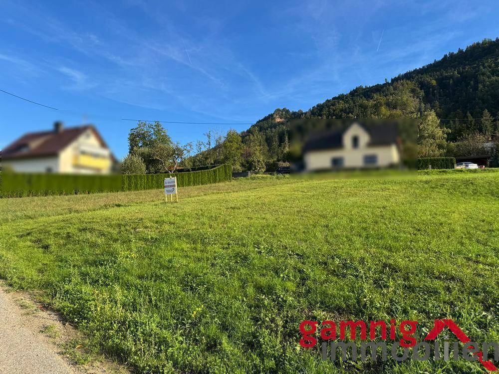 Grüne Wiese mit Häusern im Hintergrund und einem klaren Blick auf die bewaldeten Hügel.