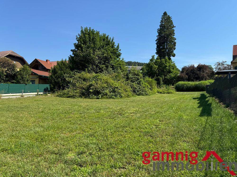 Sonniges Grundstück mit Rasenfläche, umgeben von Bäumen und Häusern in der Ferne.