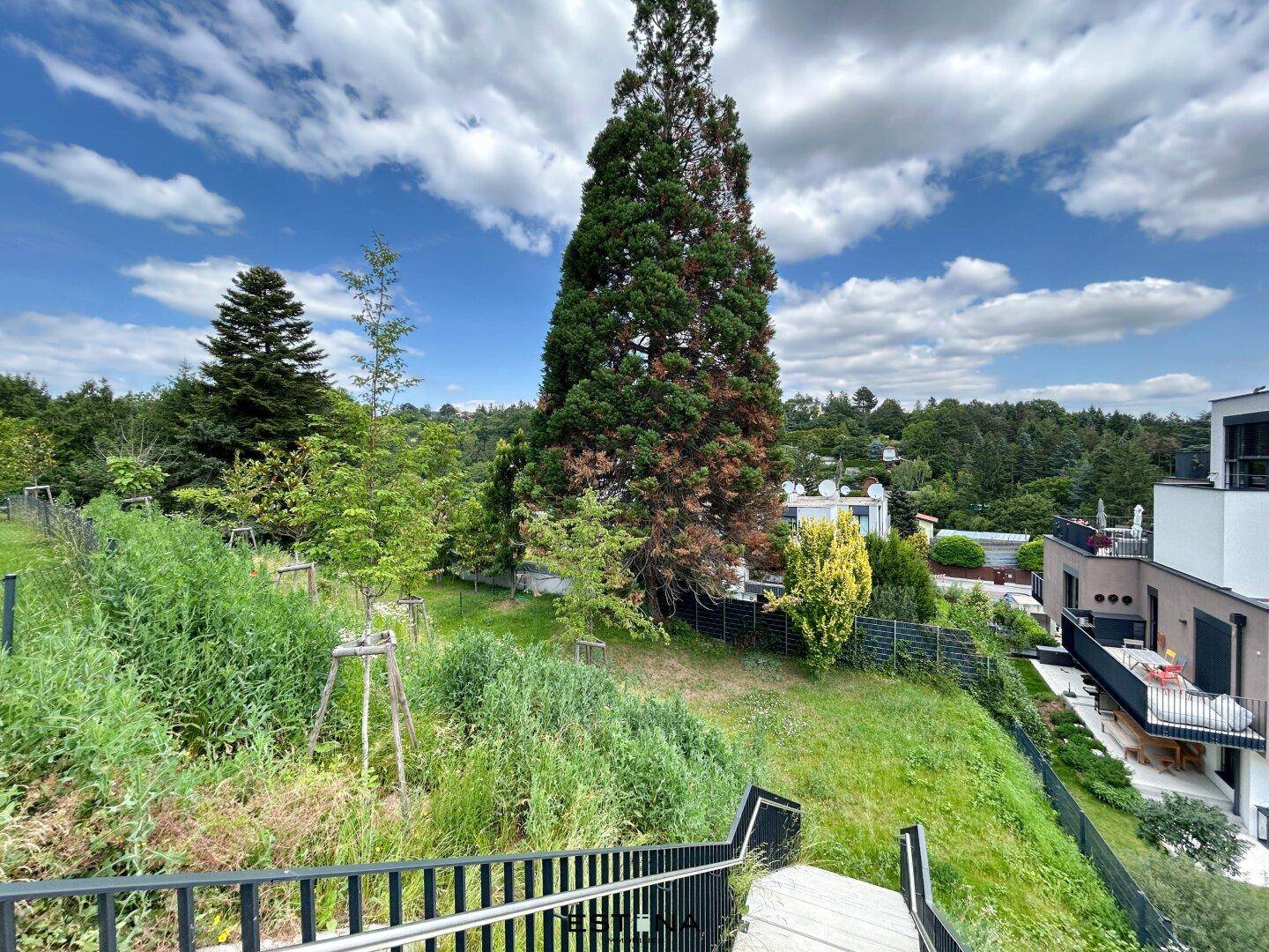 Grüne Gartenfläche mit Bäumen und Treppen, die zu den oberen Ebenen führen.