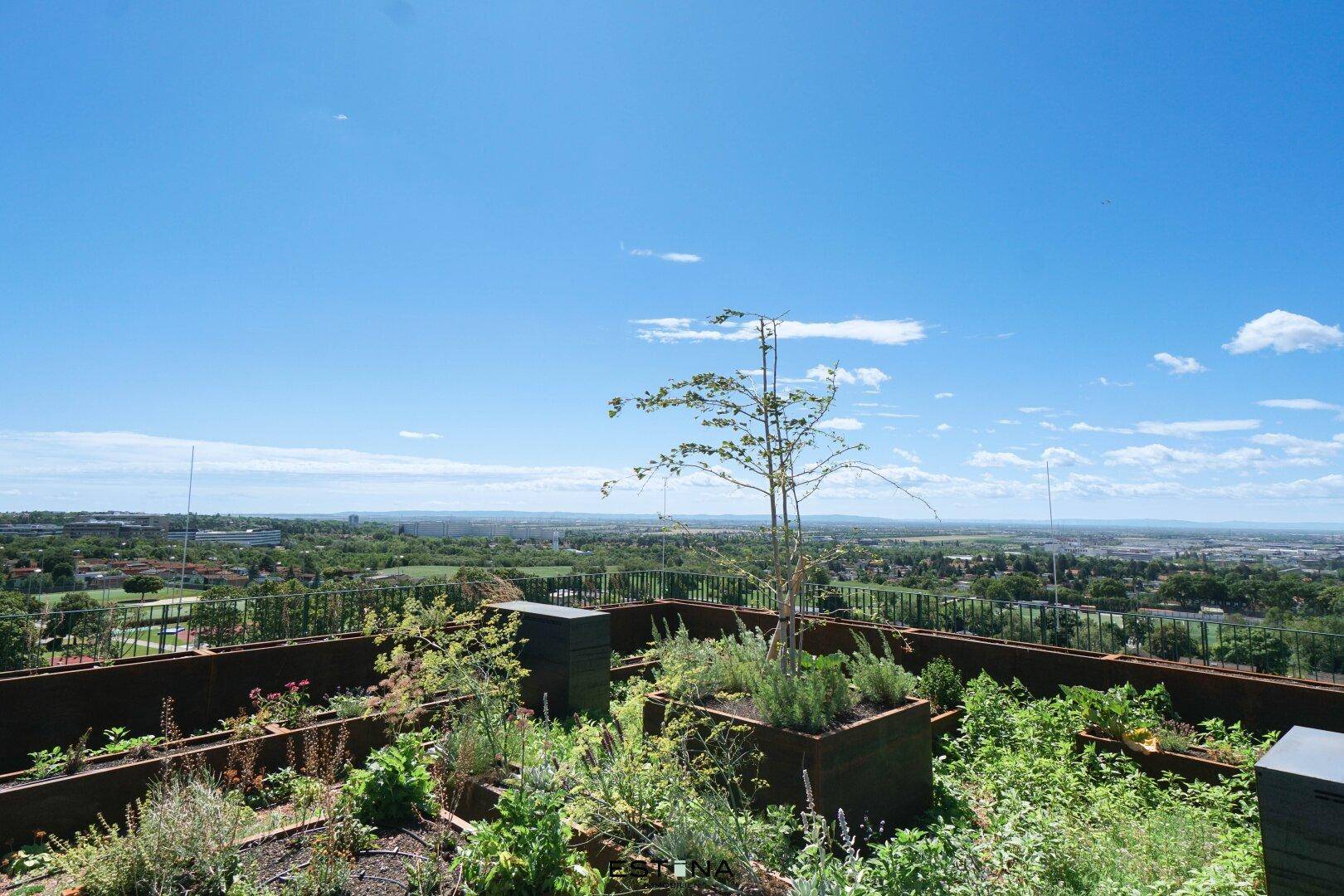 Panoramablick vom Dachgarten mit verschiedenen Pflanzen und einem Baum über die weite Landschaft.