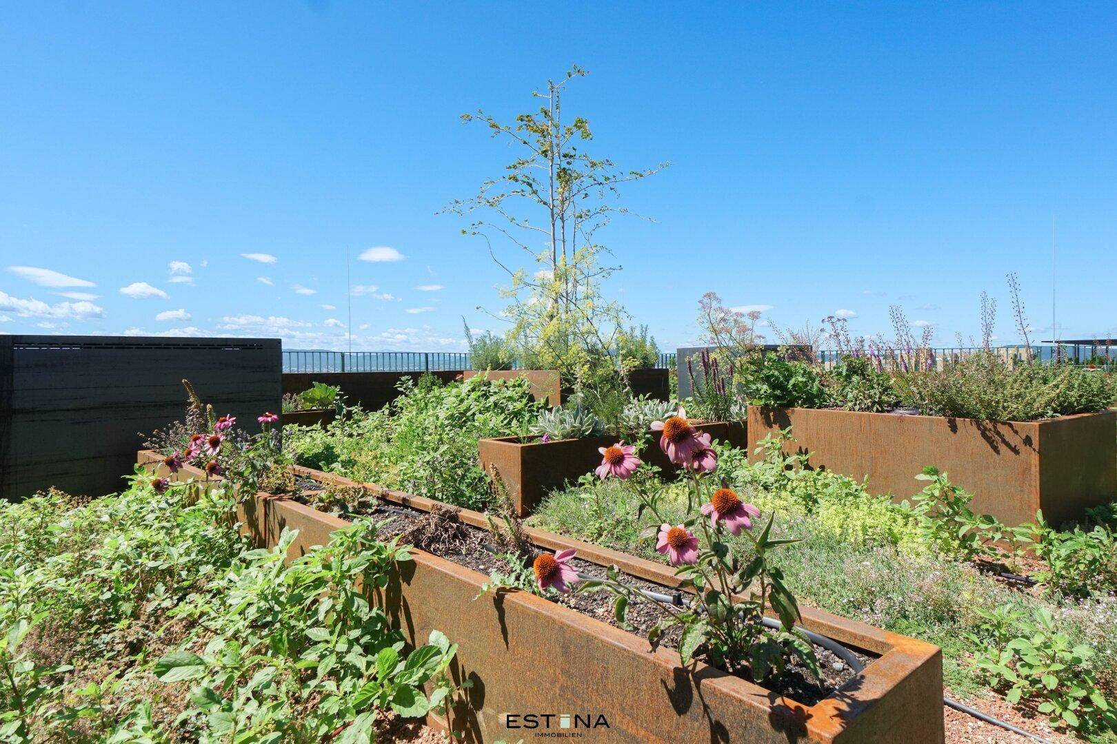 Dachterrasse mit bepflanzten Hochbeeten und weitem Blick über die Umgebung.