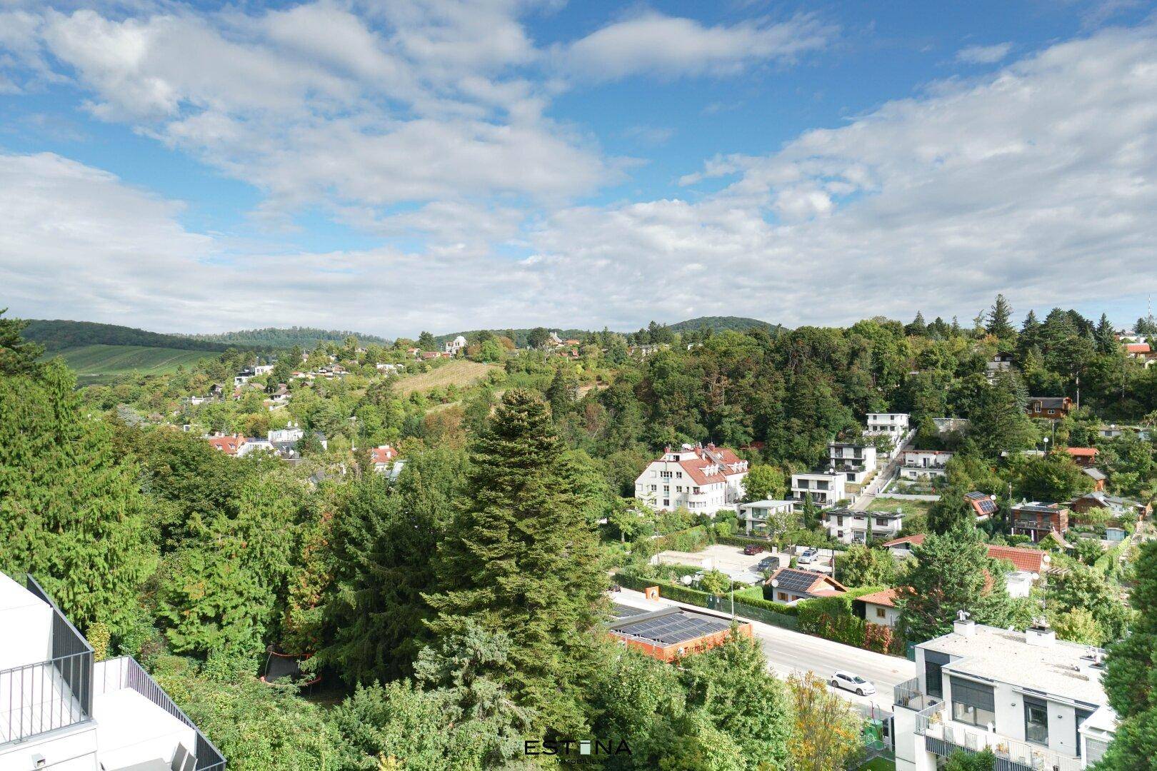 Panoramablick über eine grüne Hügellandschaft mit verstreuten Häusern und viel Natur.