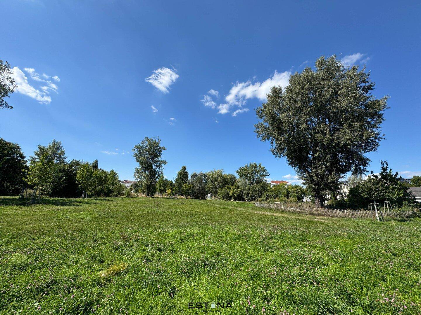 Weitläufige Grünfläche mit Bäumen unter blauem Himmel, ideal für Erholung und Naturgenuss.