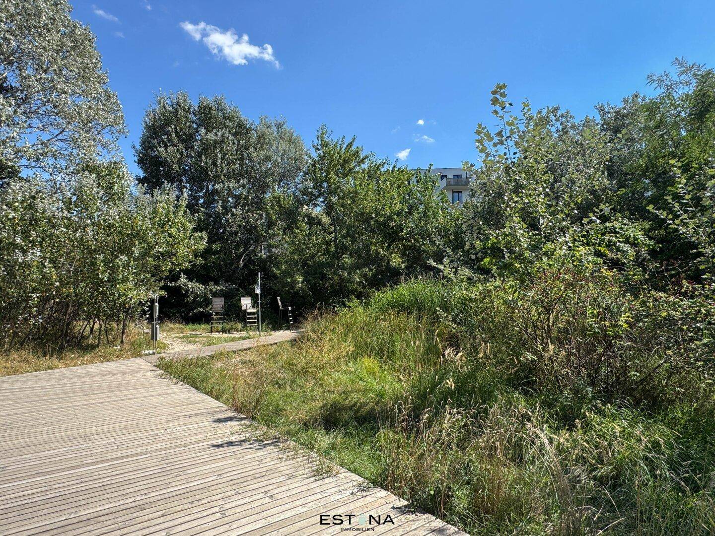Holzsteg führt durch eine naturbelassene Grünanlage mit dichter Vegetation.