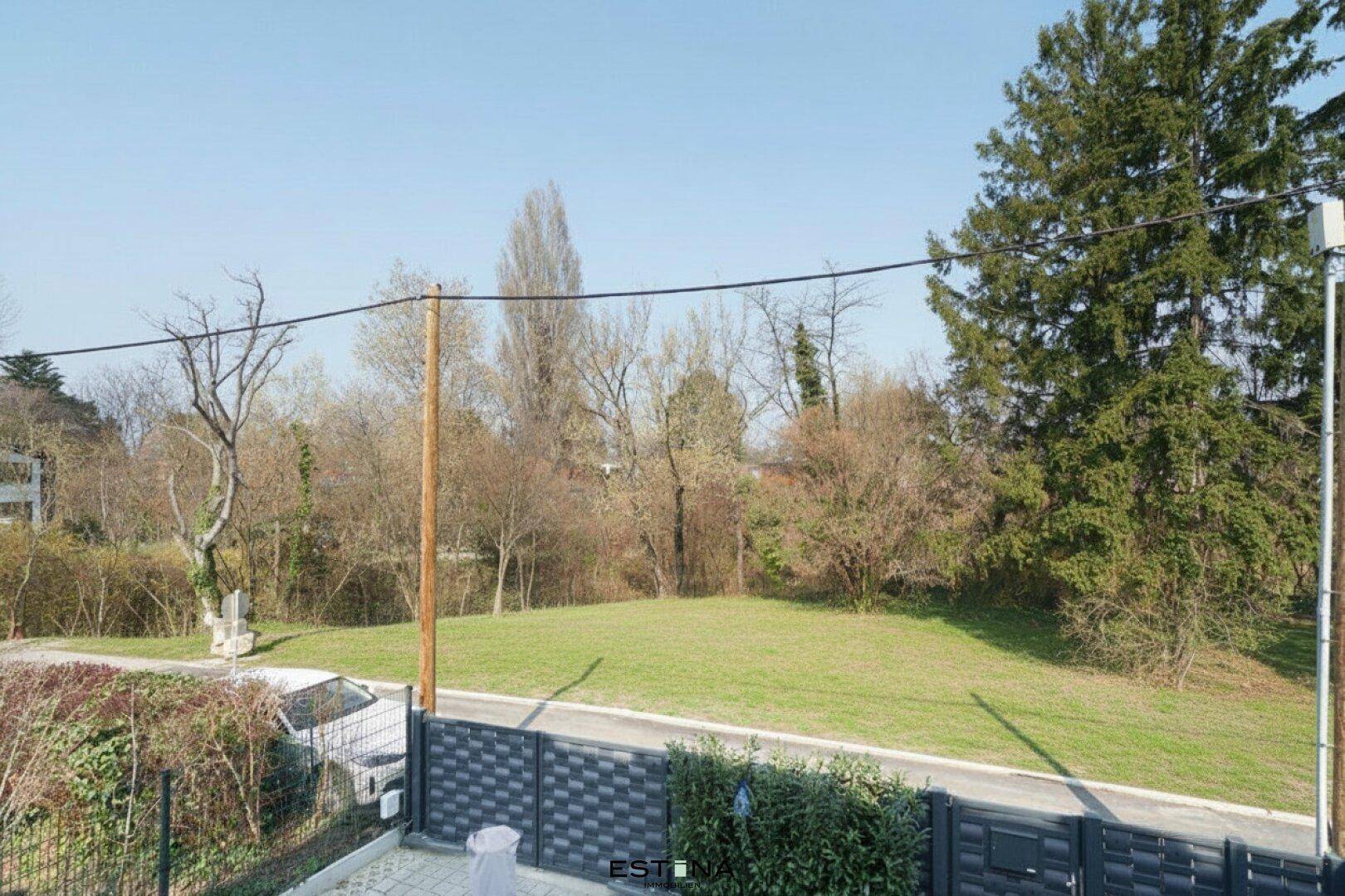 Weitläufiger Blick auf eine grüne Wiese und Bäume unter blauem Himmel.