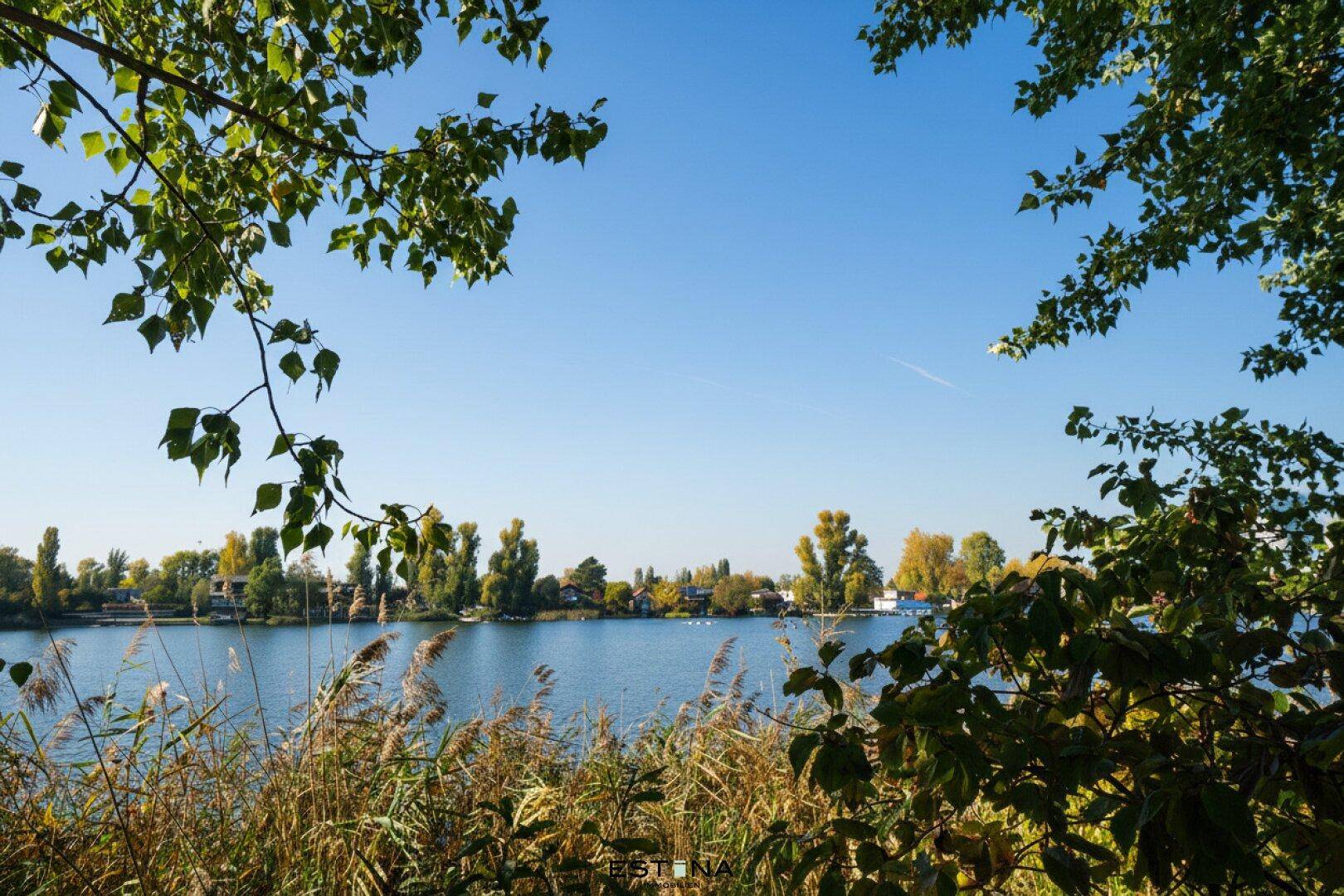 Malerischer Blick auf einen ruhigen See umgeben von üppiger Vegetation unter blauem Himmel.