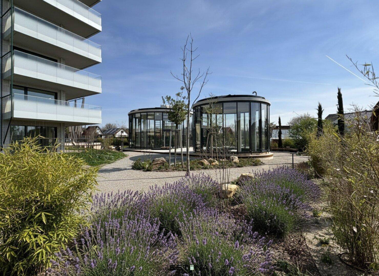 Attraktiver Gartenbereich mit blühendem Lavendel, Zierpflanzen und modernen Glaspavillons.