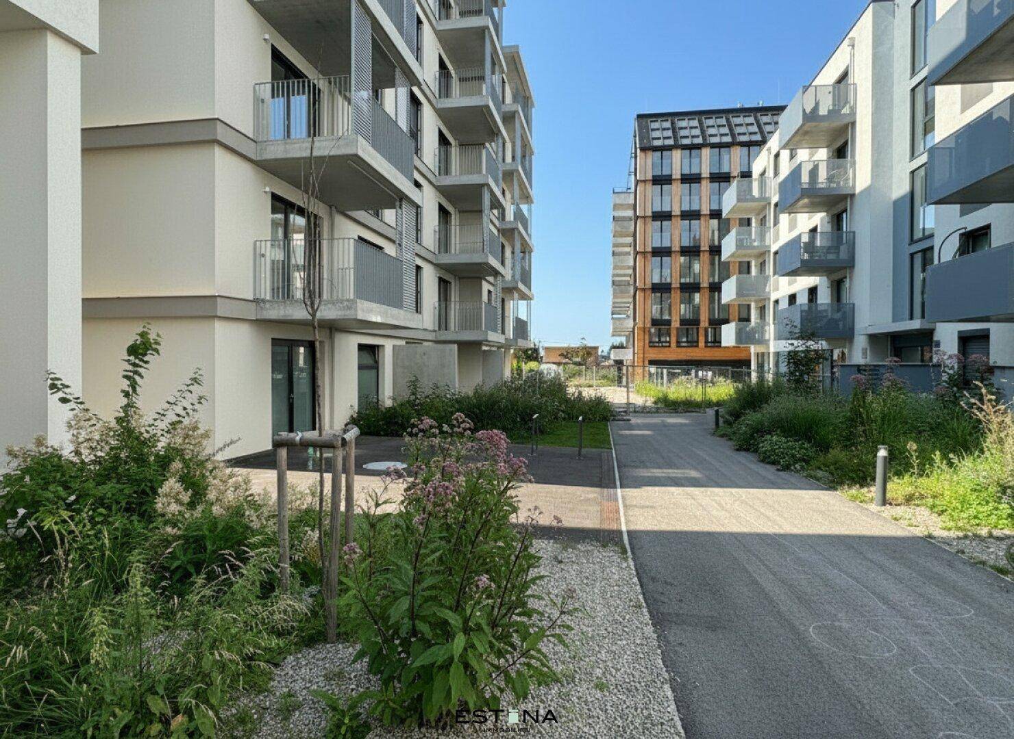 Gepflegte Außenanlage zwischen modernen Wohngebäuden mit Wegen und blühenden Pflanzen.