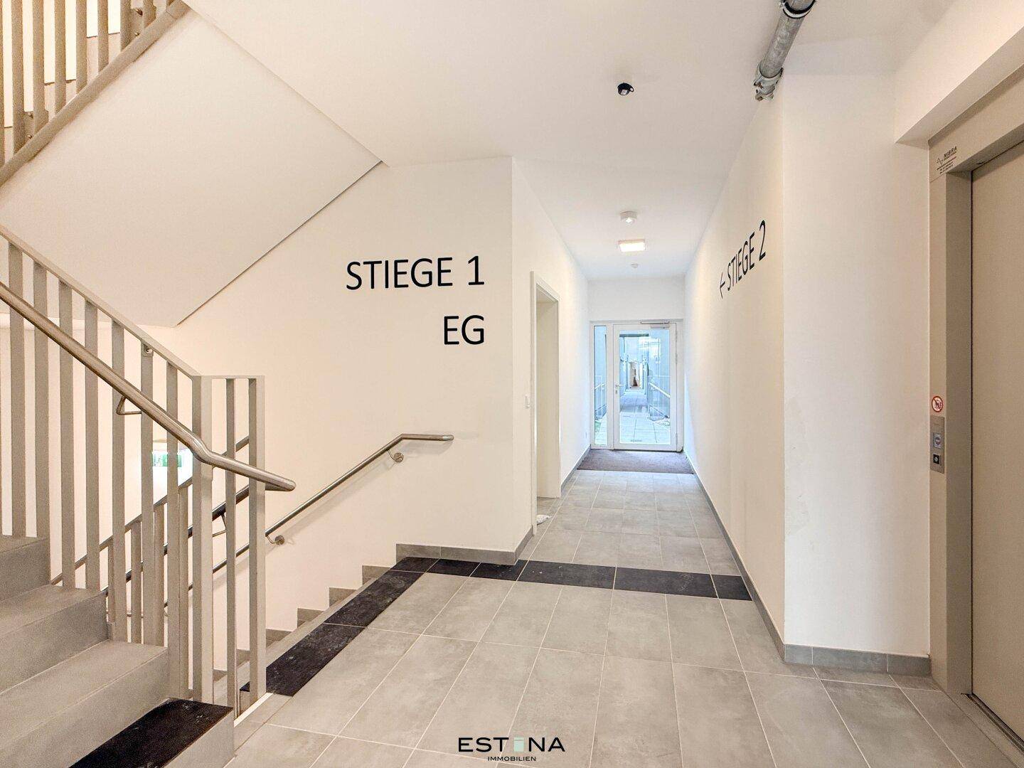 Heller Hausflur mit Treppenhaus, Fliesenboden und Aufzug im Eingangsbereich.