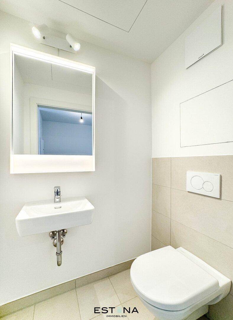 Separates WC mit wandhängendem WC, kleinem Waschbecken und Spiegelschrank.
