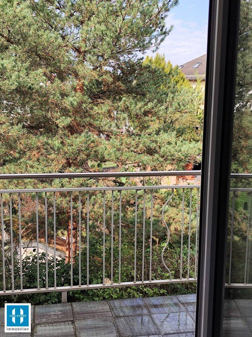 Gefliester Balkon mit Metallgeländer und Blick ins Grüne, umgeben von hohen Bäumen.