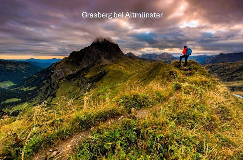 Grasberg bei Altmu¨nster.jpg