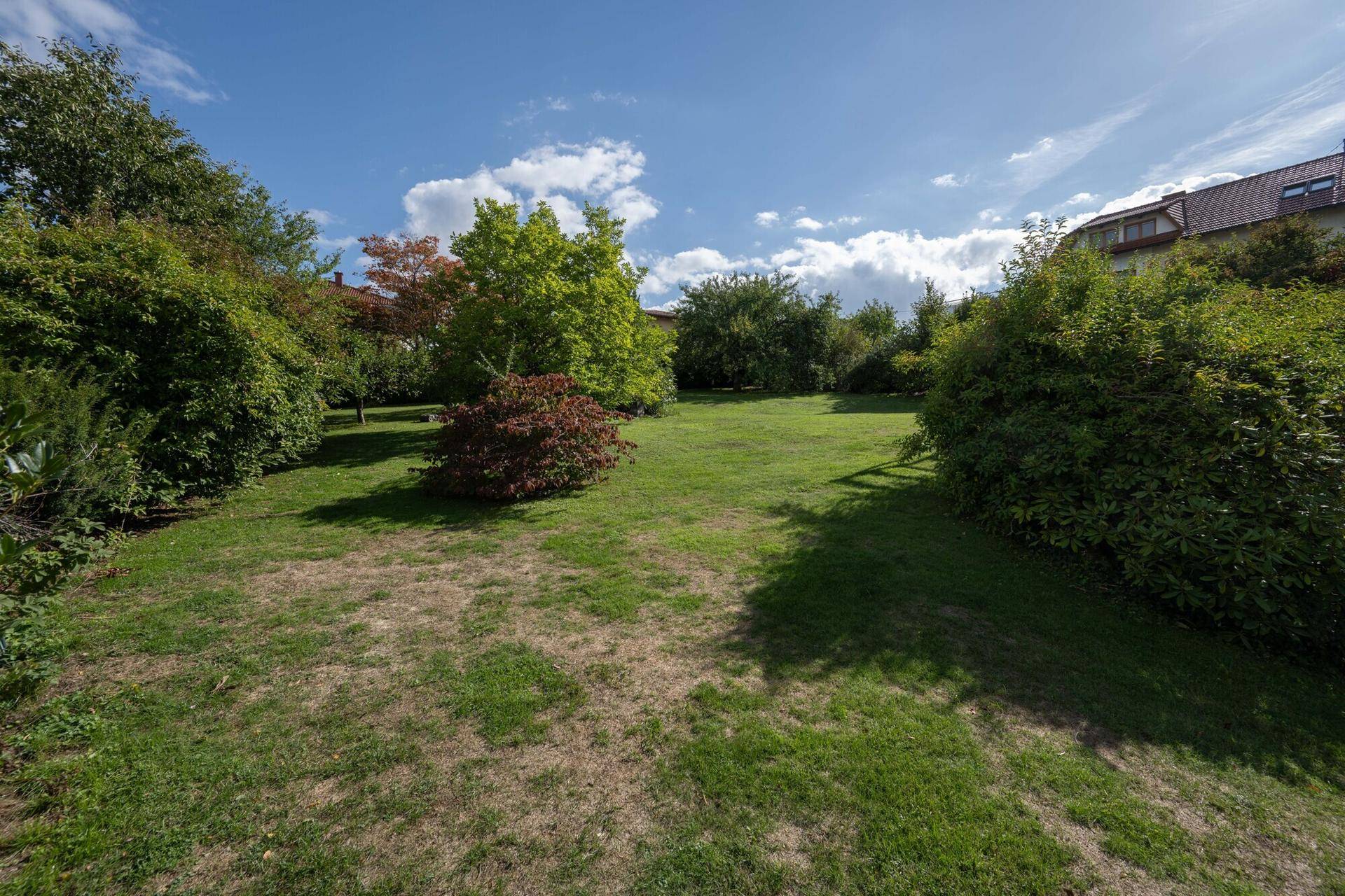 Großer, gepflegter Gartenbereich mit Rasenfläche und verschiedenen Sträuchern.