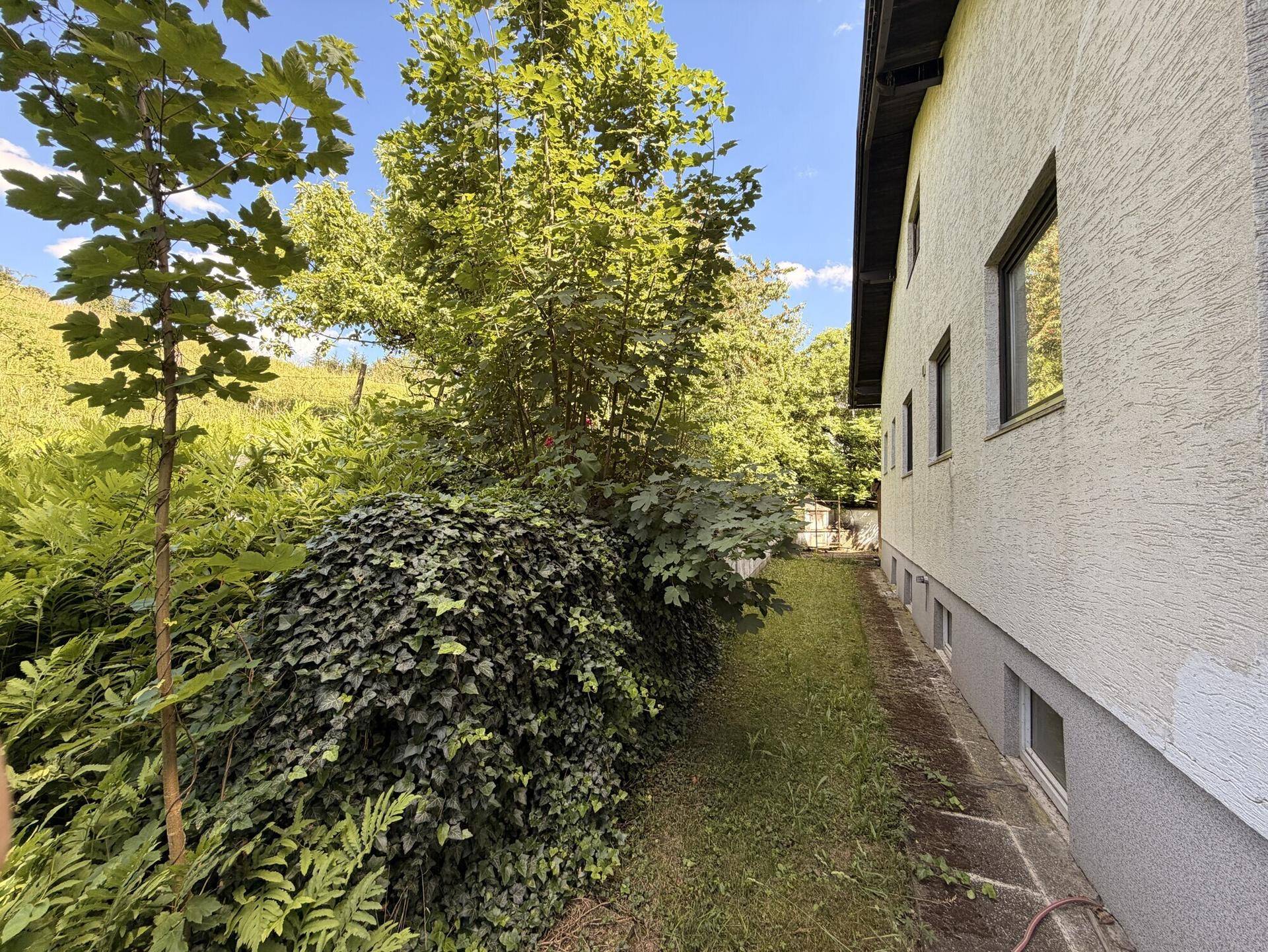 Seitlicher Bereich des Hauses mit dichtem Grün, Bäumen und einem schmalen Rasenstreifen.