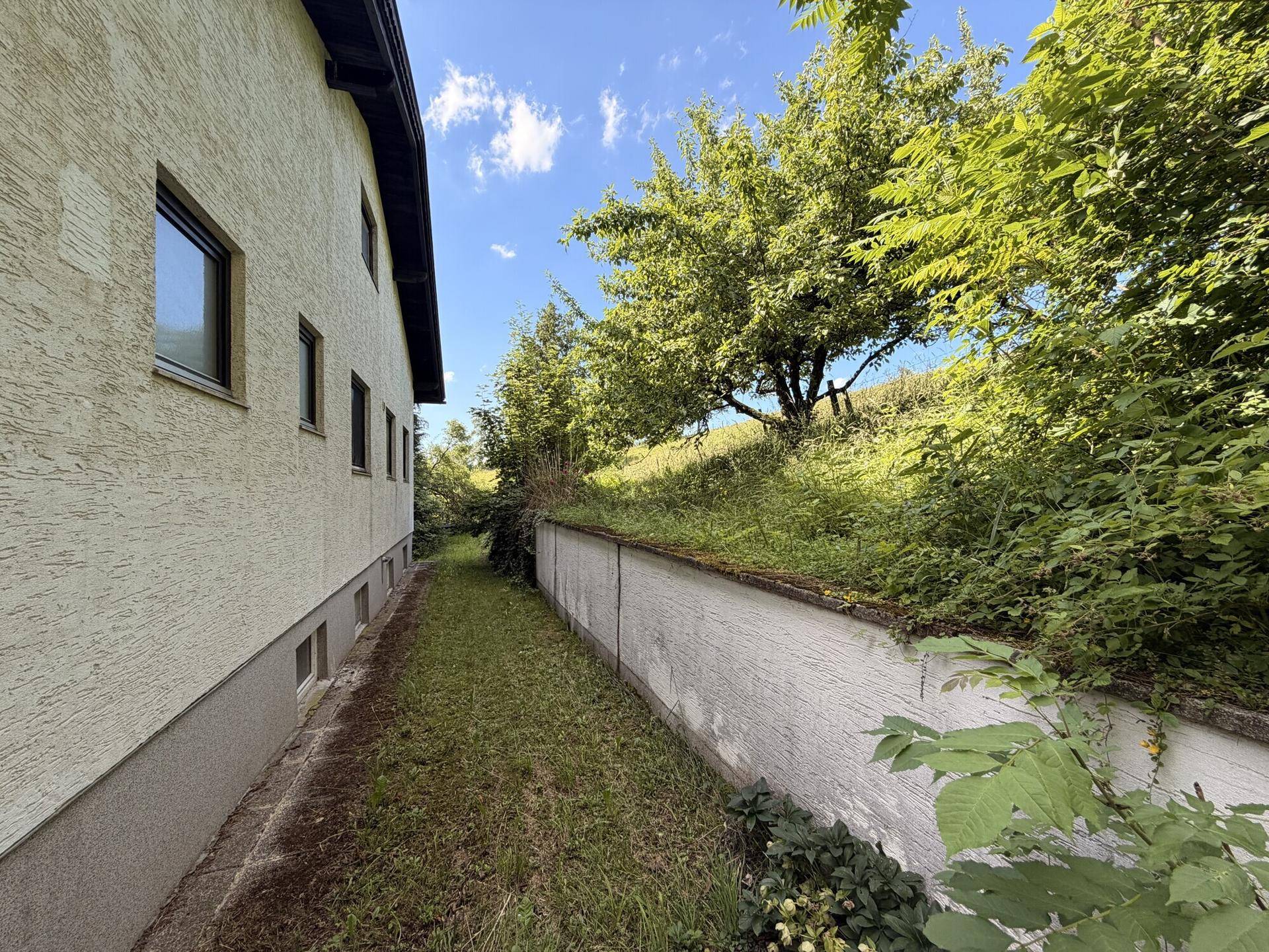 Schmaler Grünstreifen entlang der Hauswand mit einer Stützmauer und üppiger Vegetation.