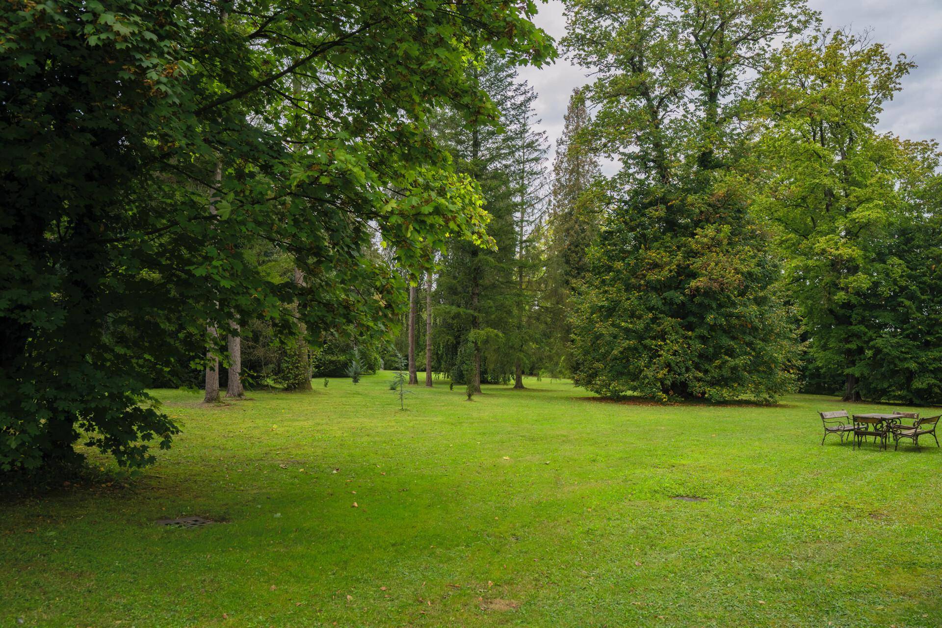 DSC_3996 (1)