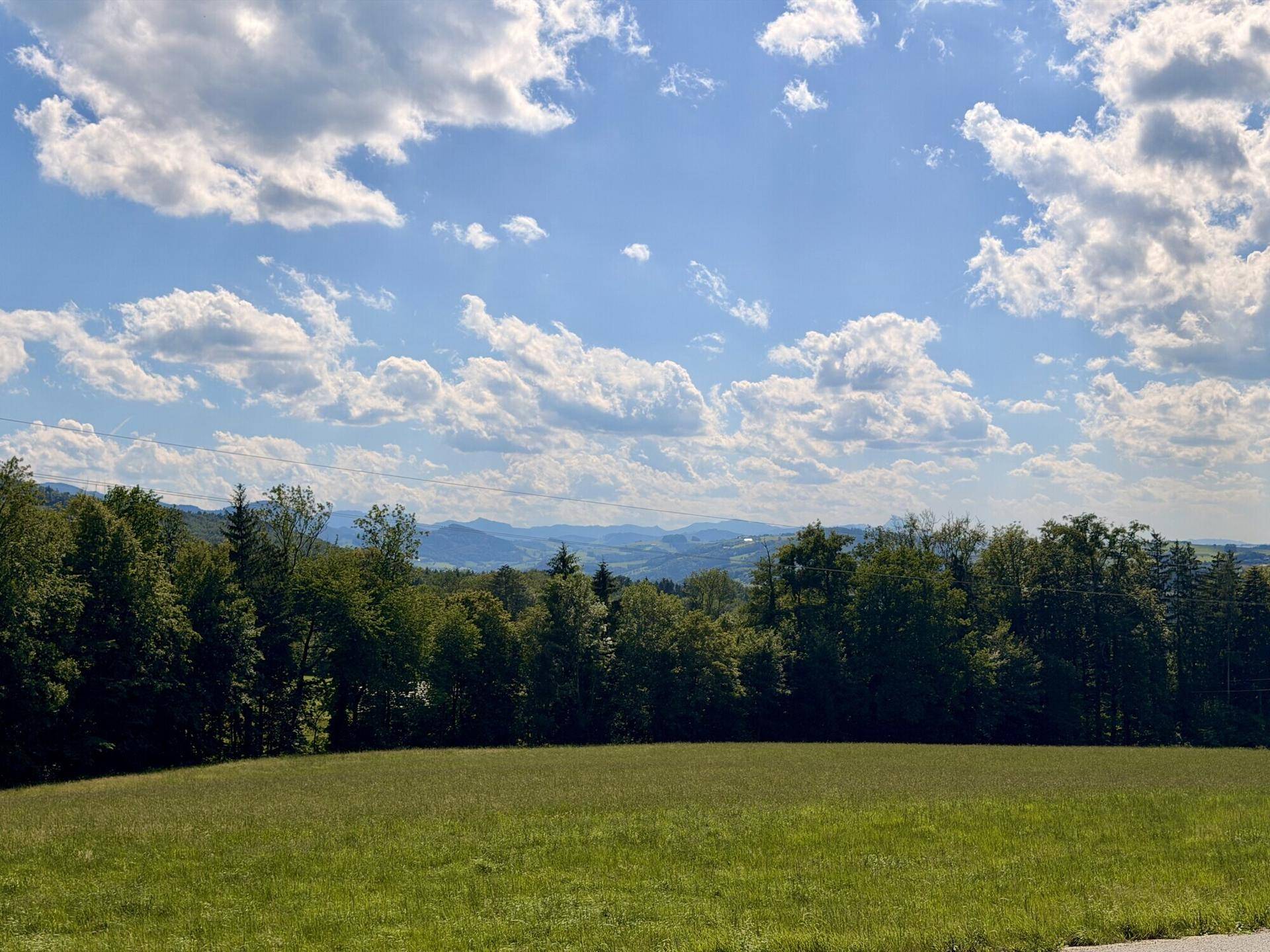 Weitläufiger Blick über grüne Felder und bewaldete Hügel bis zu den fernen Bergen.