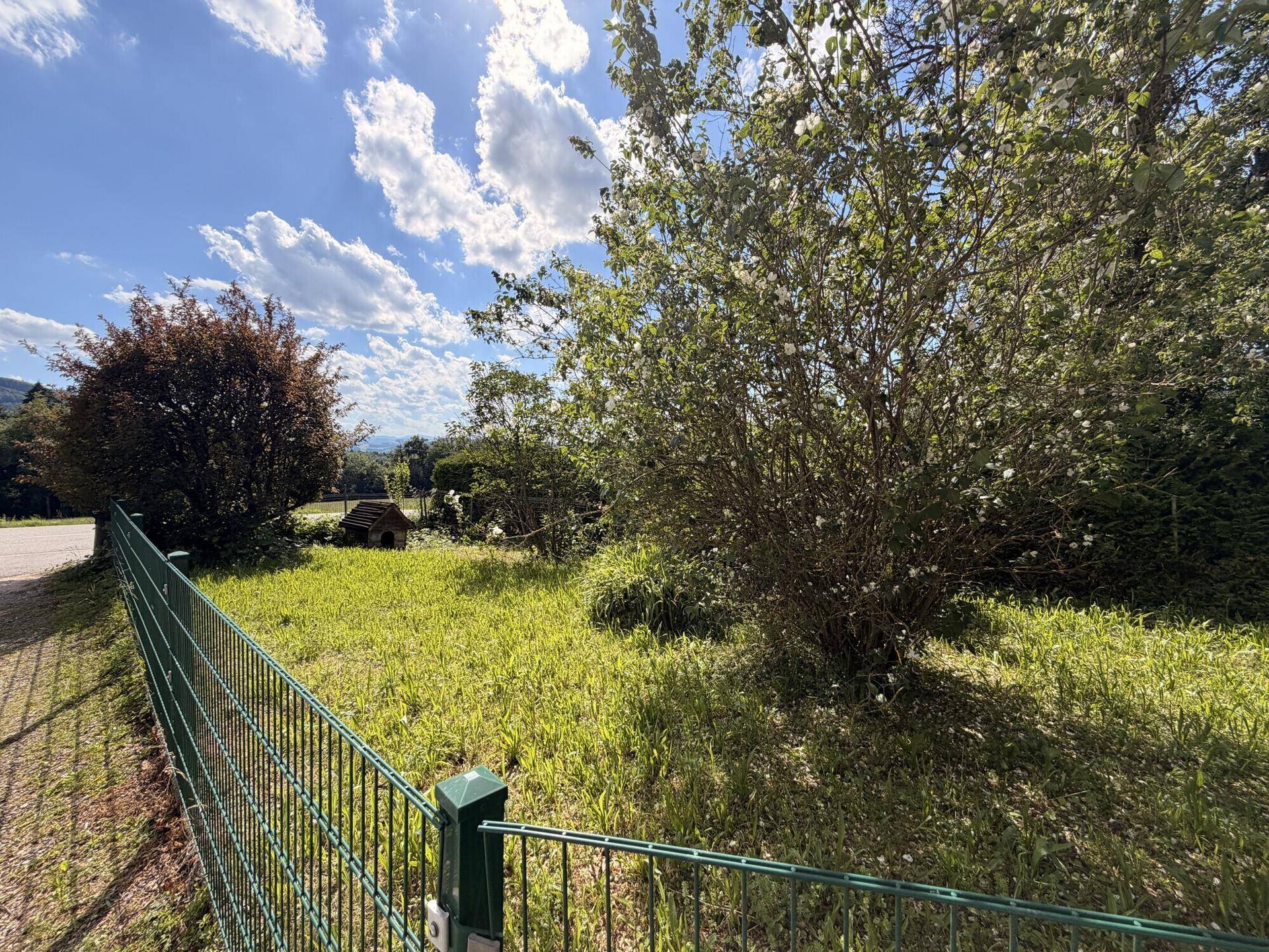 Naturbelassener Gartenbereich mit Büschen, Grasfläche und einem Zaun.