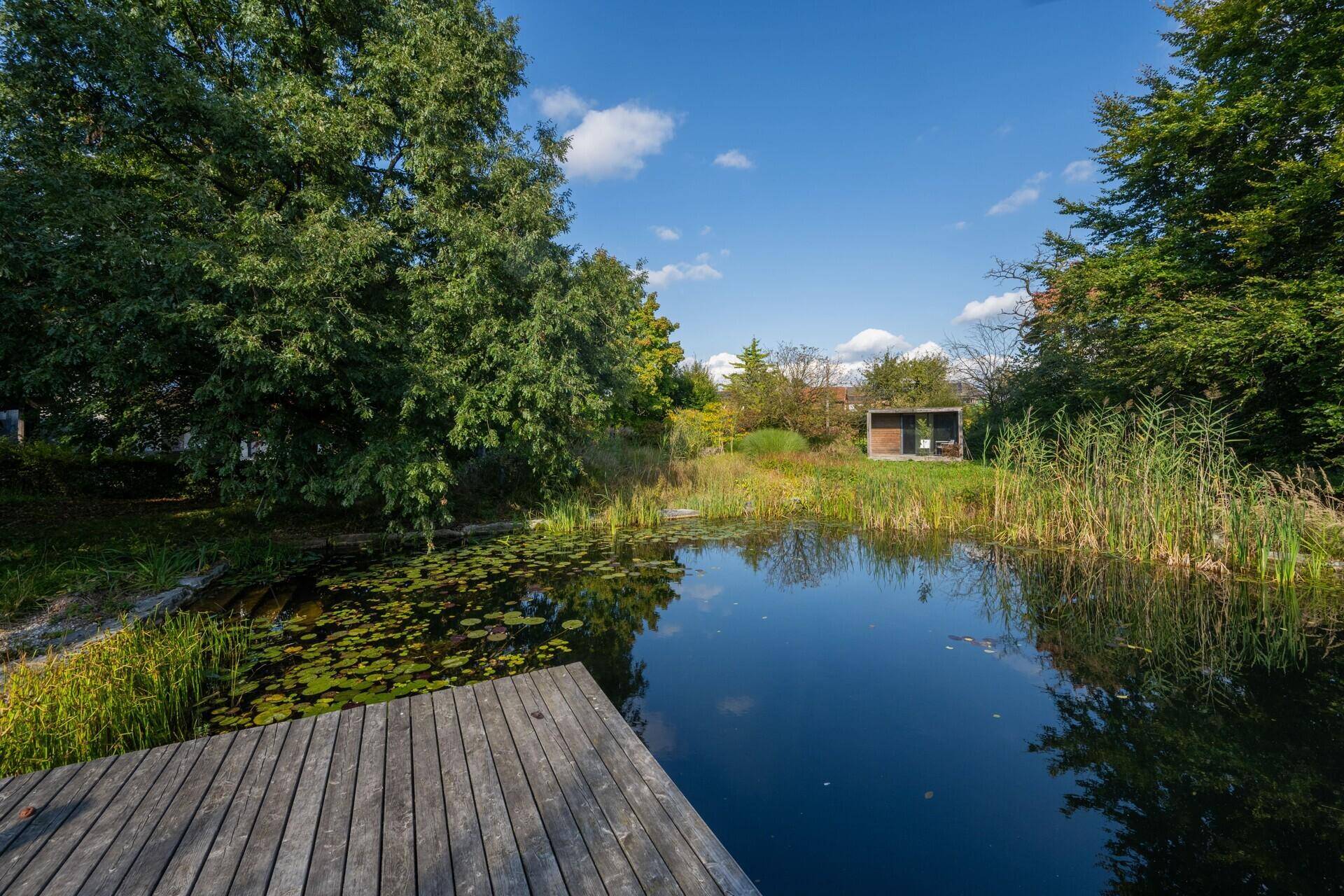 Teich mit Holzsteg und Blick auf das moderne Gartenhaus im Hintergrund.
