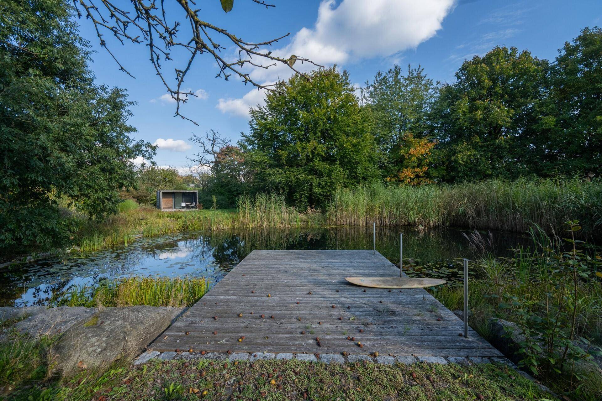 Holzsteg am Teich, ideal zum Entspannen und Genießen der Natur.