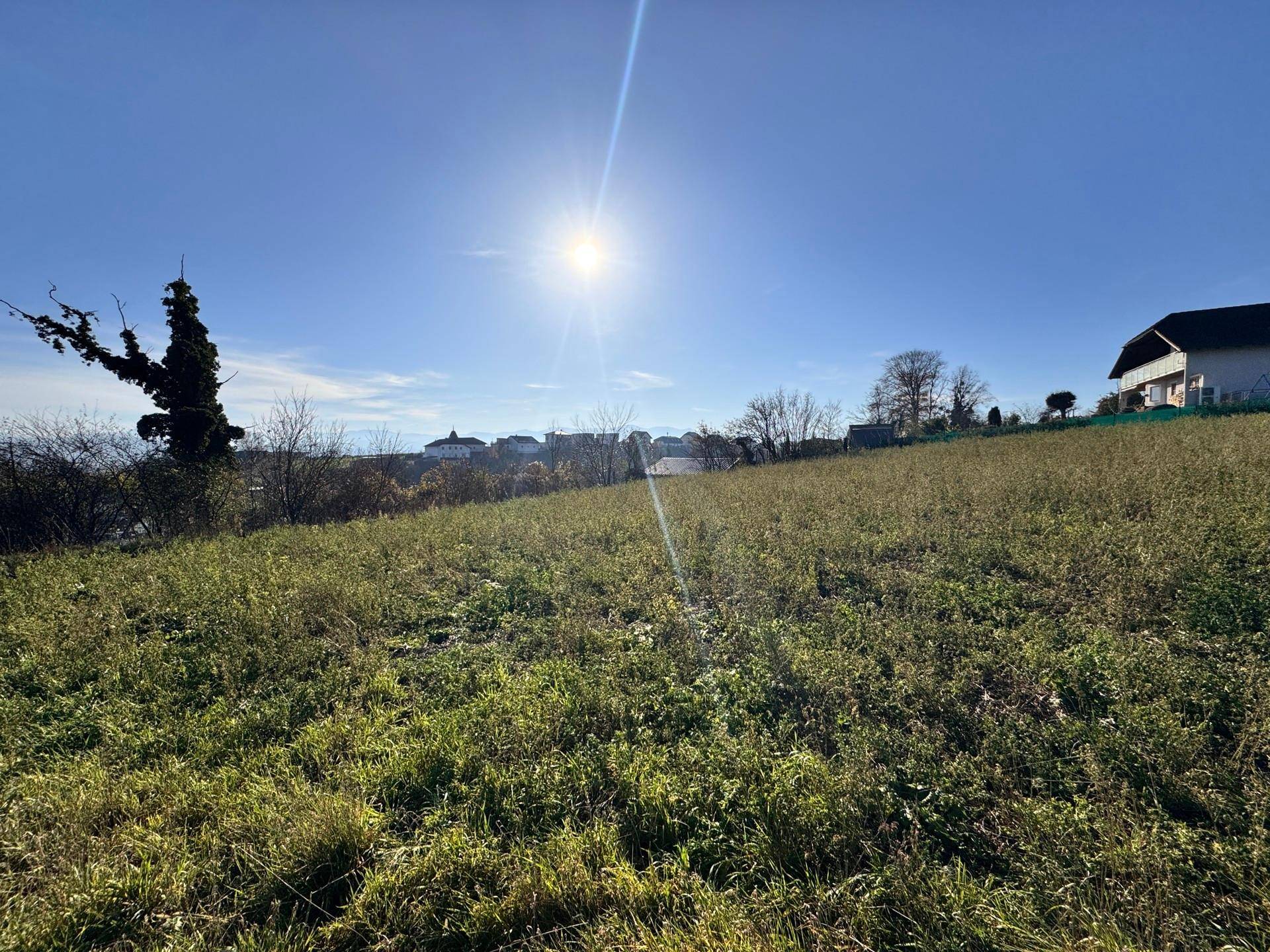 Ausblick nach Süden auf das Feld