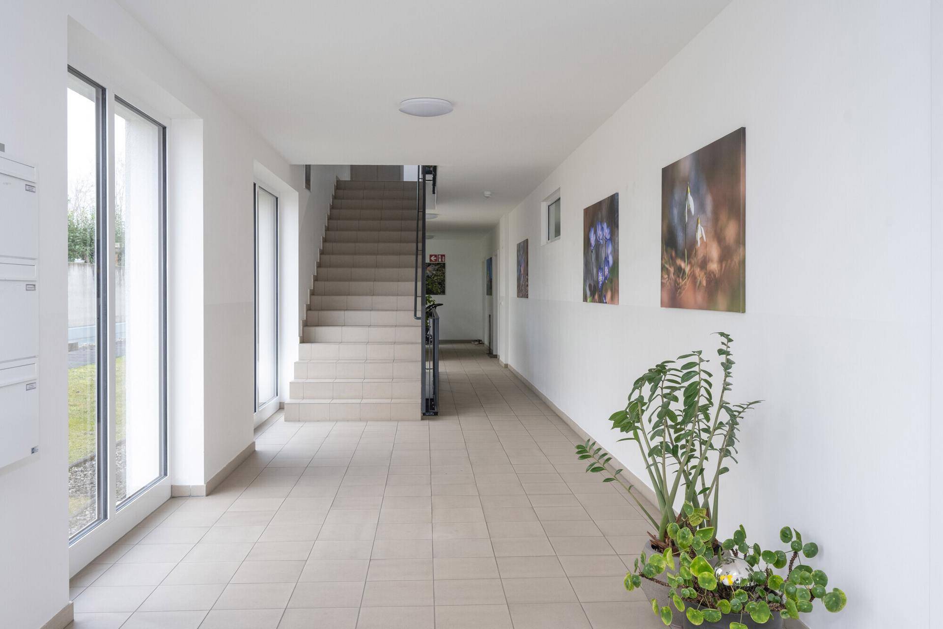 Heller und geräumiger Hausflur mit Treppenaufgang und großen Fenstern.