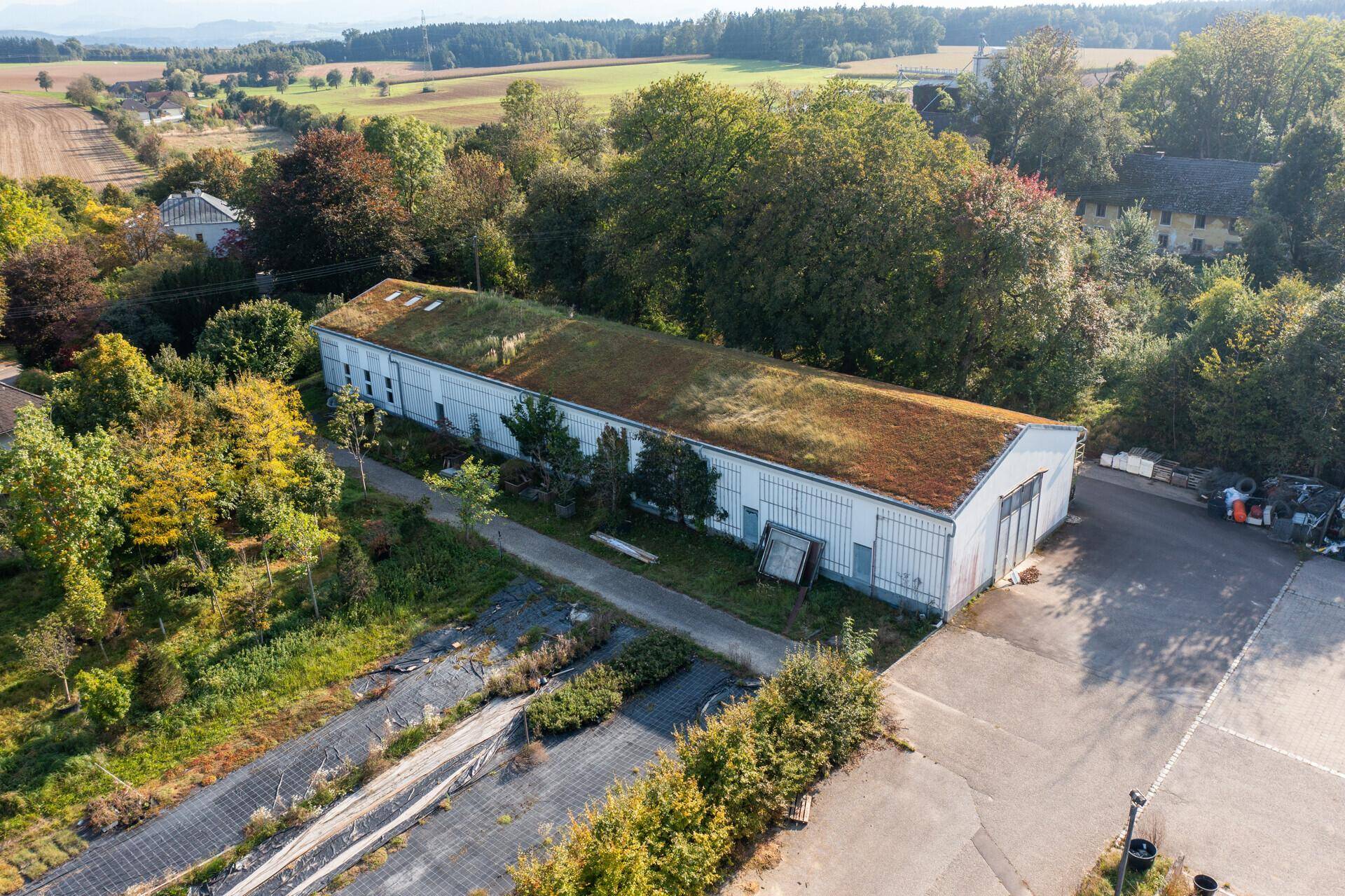 DJI_0091