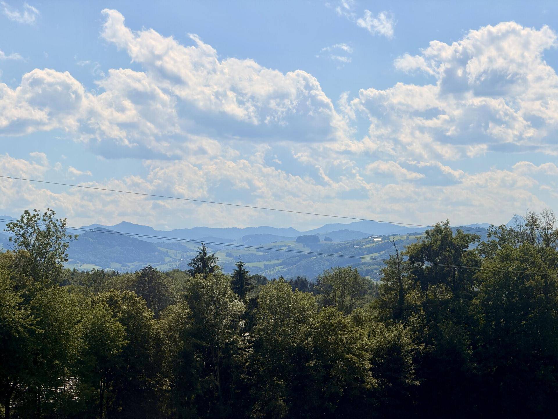 Malerischer Ausblick über bewaldete Hügel und Täler bis zu den fernen Bergen.