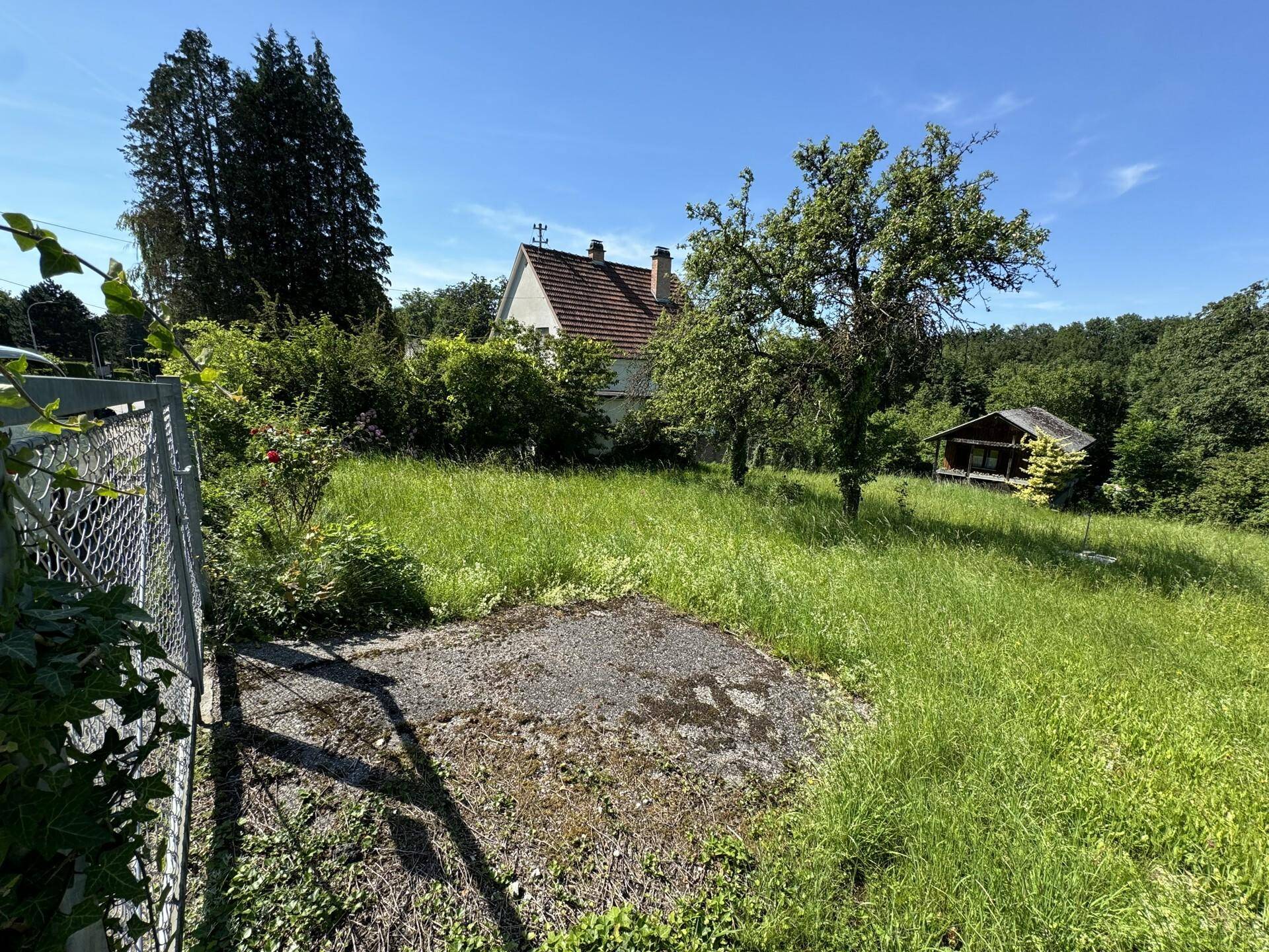 Helle Wiese mit einem Wohnhaus und einem kleinen Schuppen, umgeben von Bäumen und Natur.