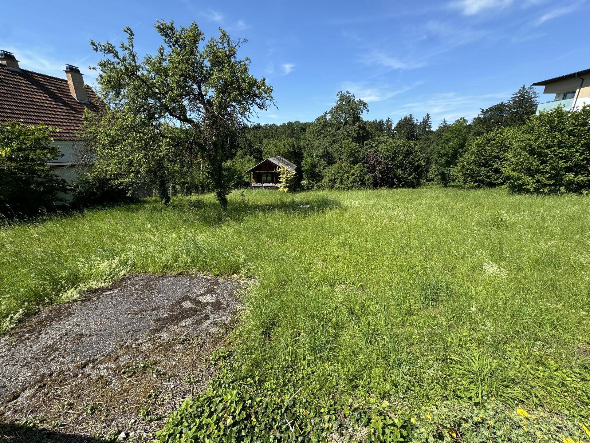 Sonnige grüne Wiese mit einem kleinen Gartenhaus und einem Wohngebäude im ländlichen Umfeld.