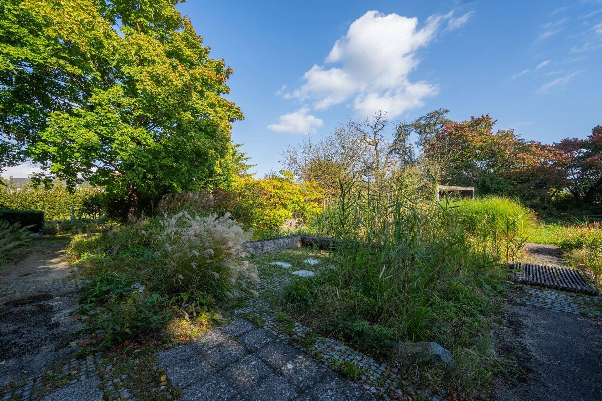 Naturbelassener Gartenbereich mit üppiger Vegetation und einem Steinweg.