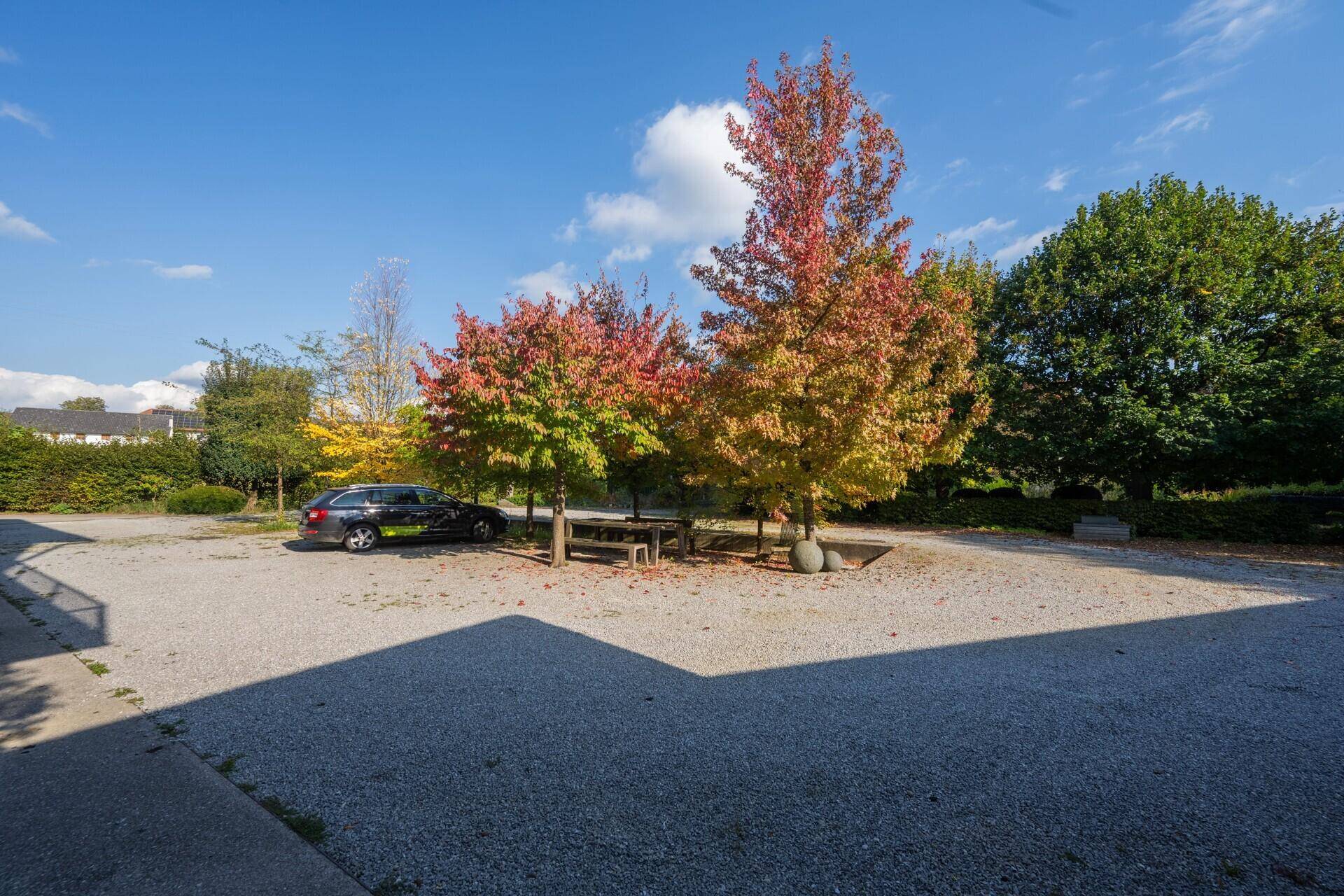 Geräumiger Schotterparkplatz mit herbstlichen Bäumen und viel Platz für Fahrzeuge.