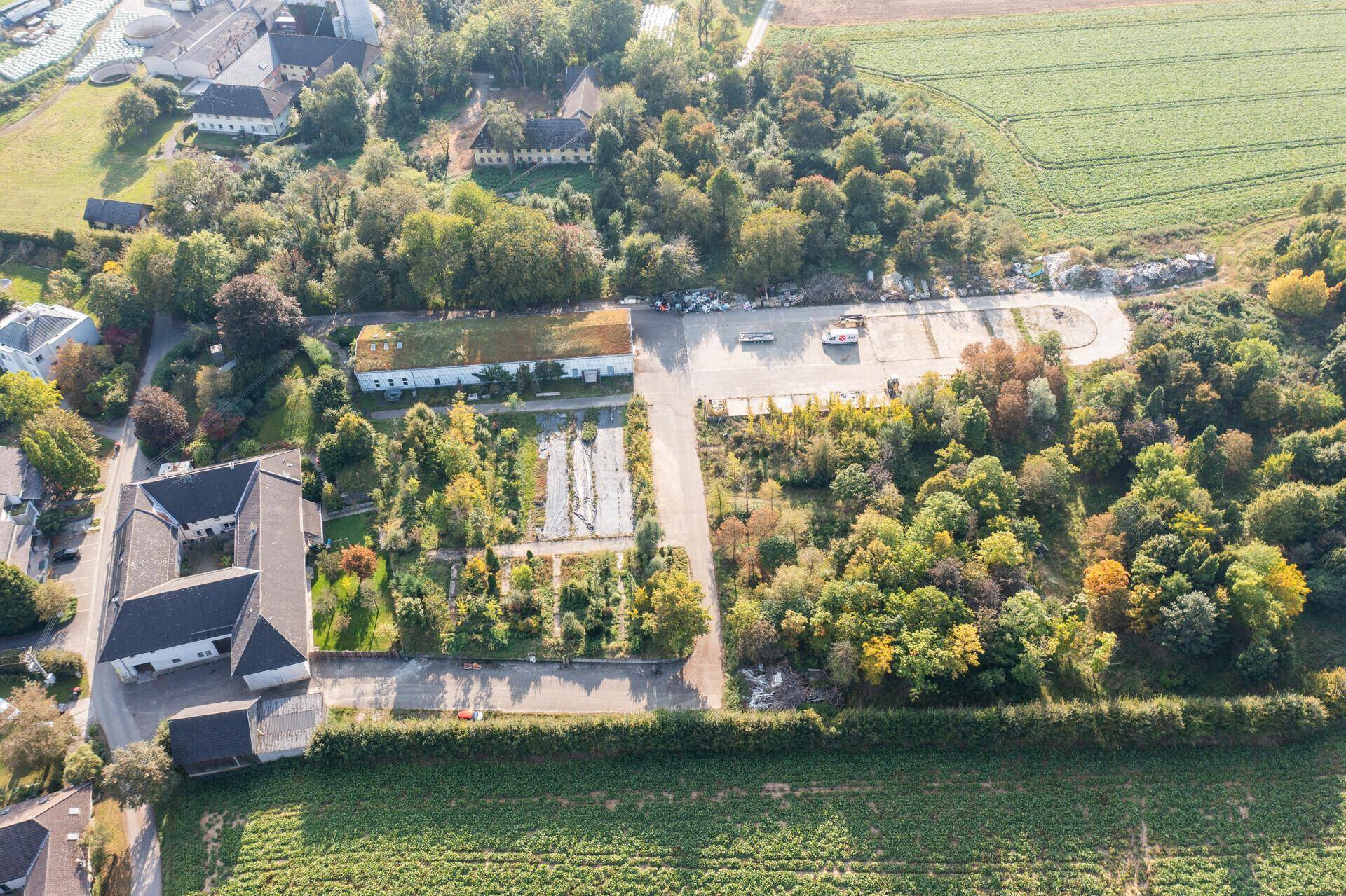 DJI_0087