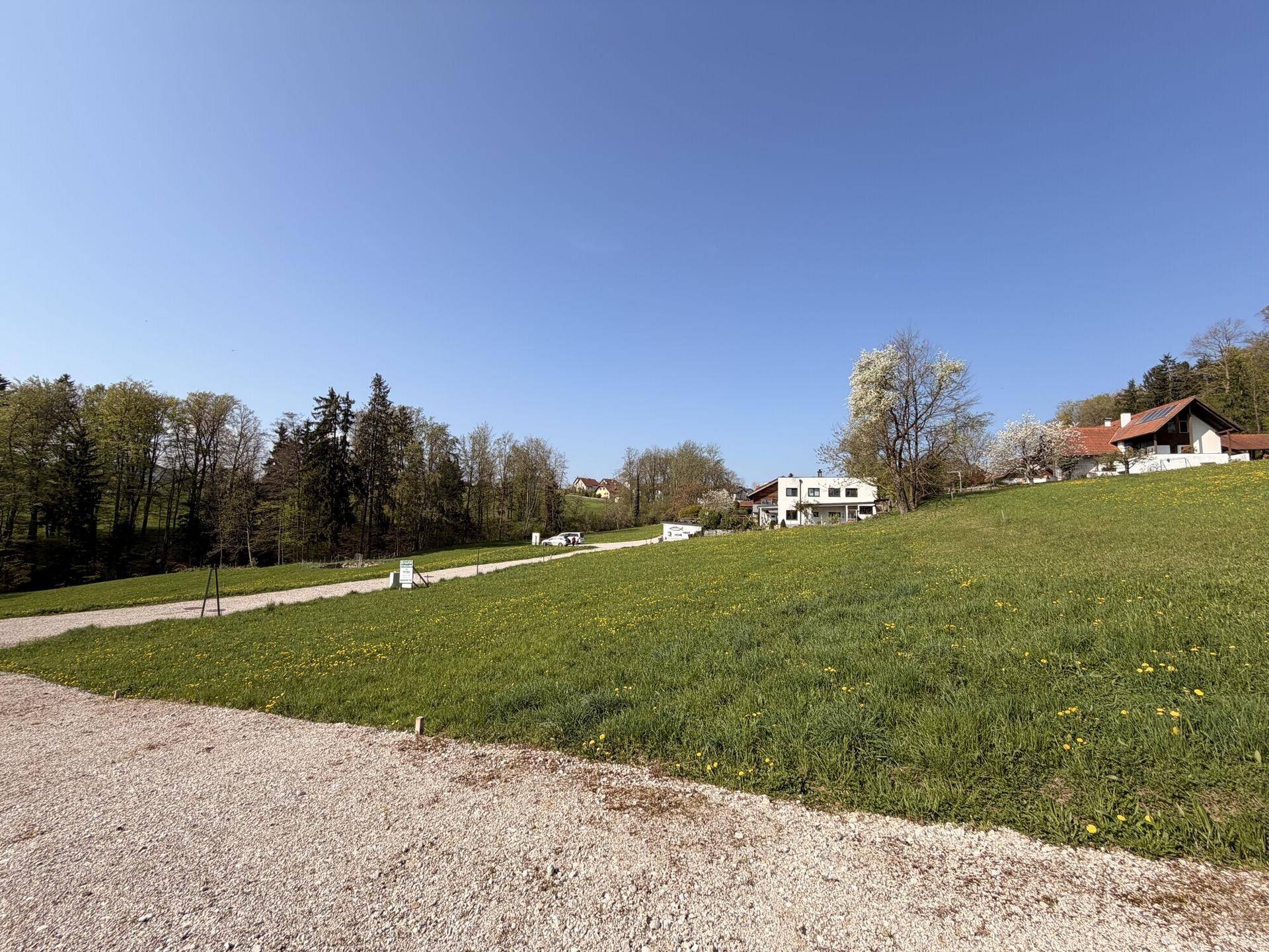 Grüne Hügellandschaft mit vereinzelten Wohnhäusern und Wald am Horizont unter blauem Himmel.