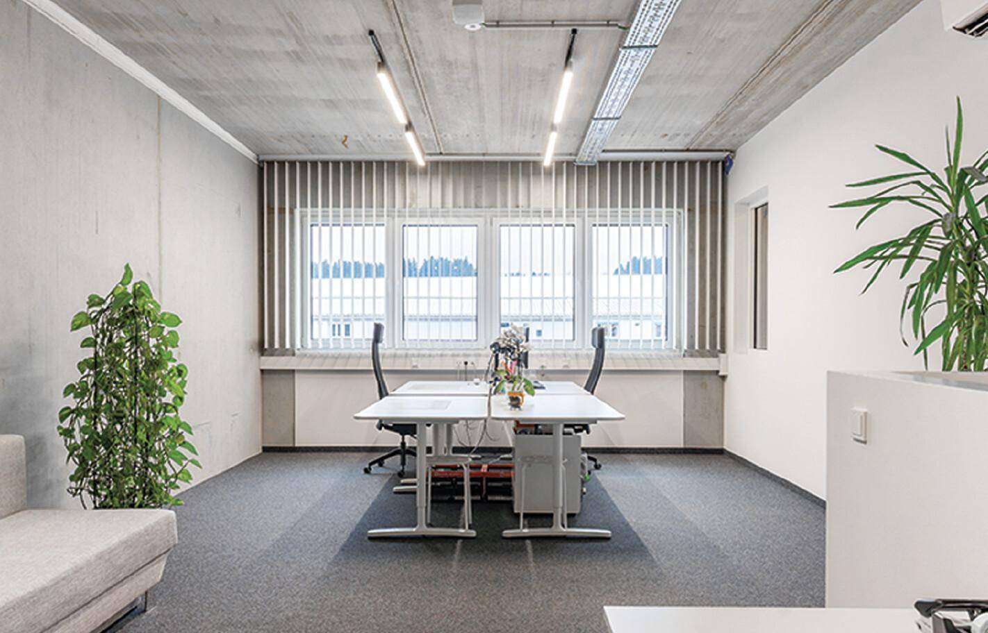 Helles und modernes Büro mit grauem Teppichboden, großen Fenstern und Pflanzen.