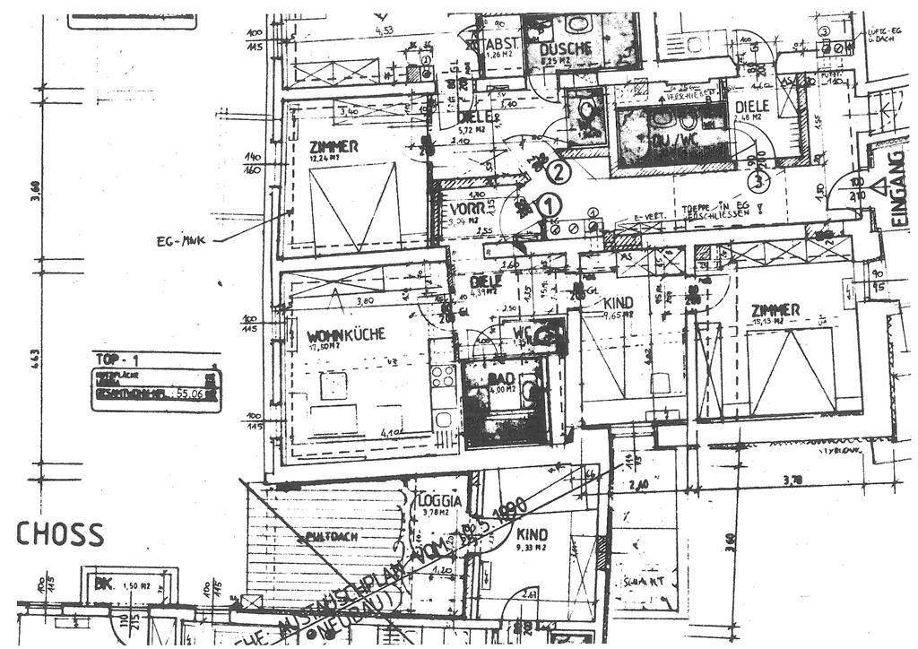 Detaillierter Grundriss einer Wohnung mit Wohnküche, Loggia und mehreren Zimmern.