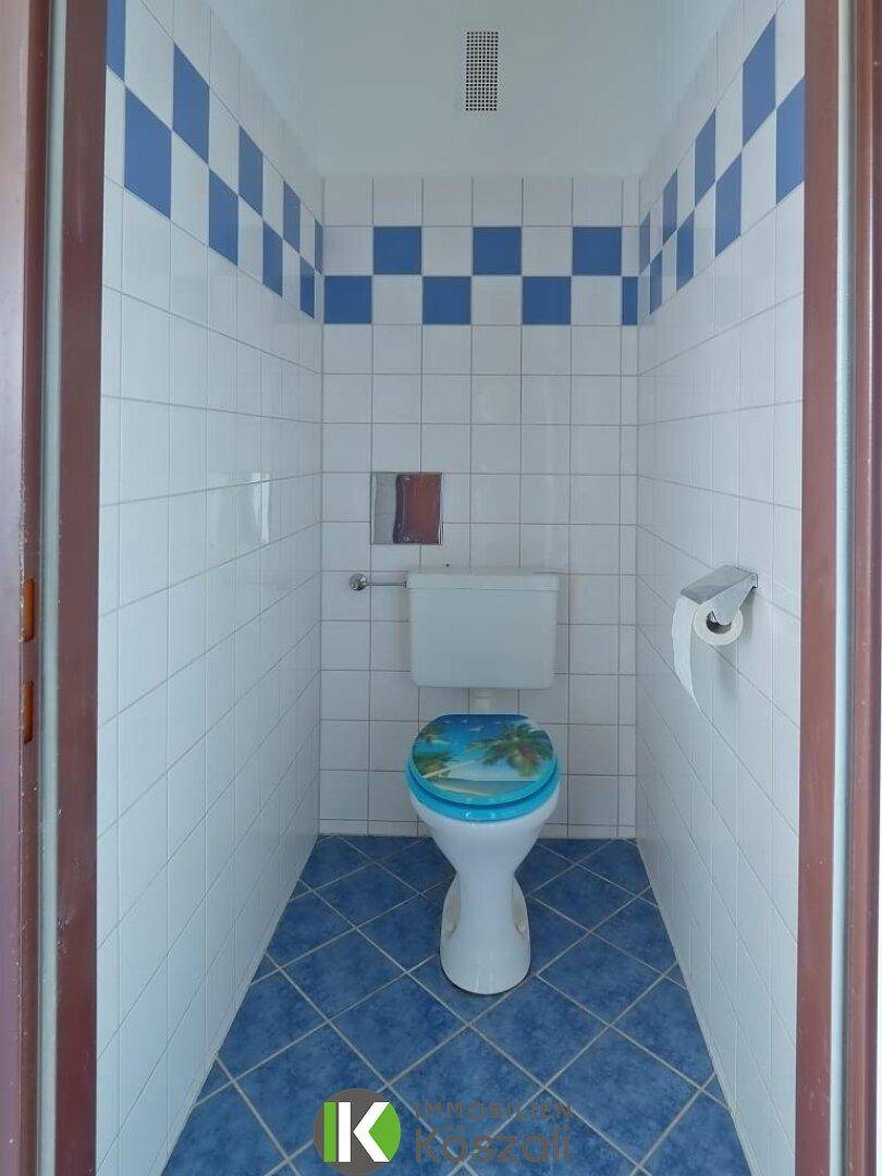Separates WC mit blauen und weißen Fliesen und einer Toilette mit farbigem Deckel.