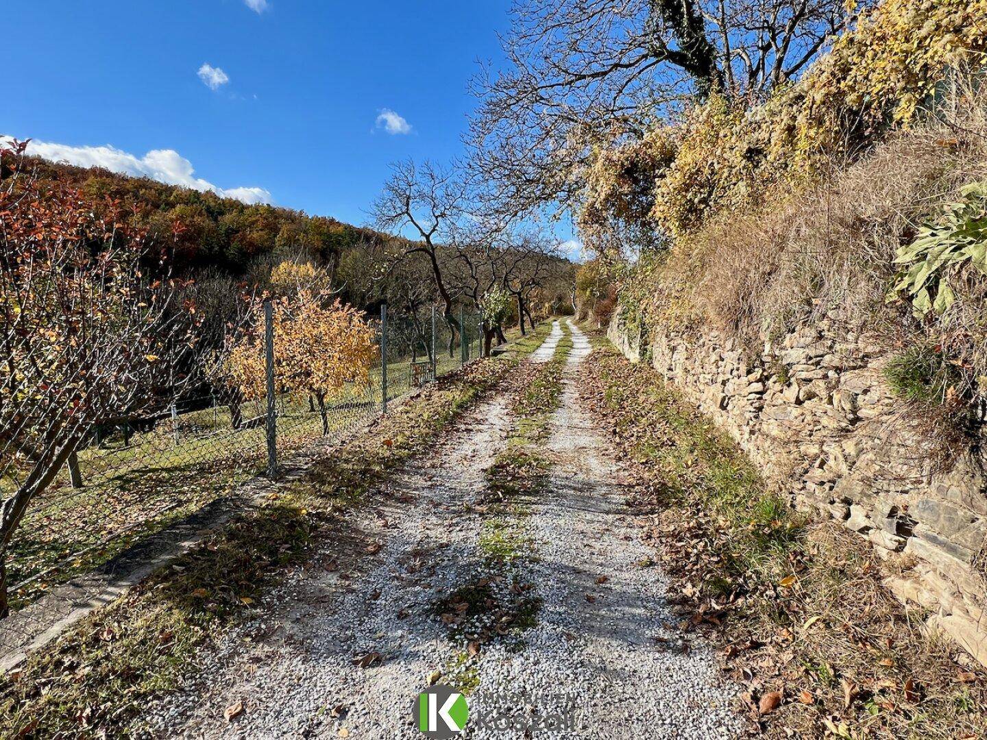 Ländlicher Weg durch Obstgärten und Weinberge, umgeben von herbstlicher Natur unter blauem Himmel.