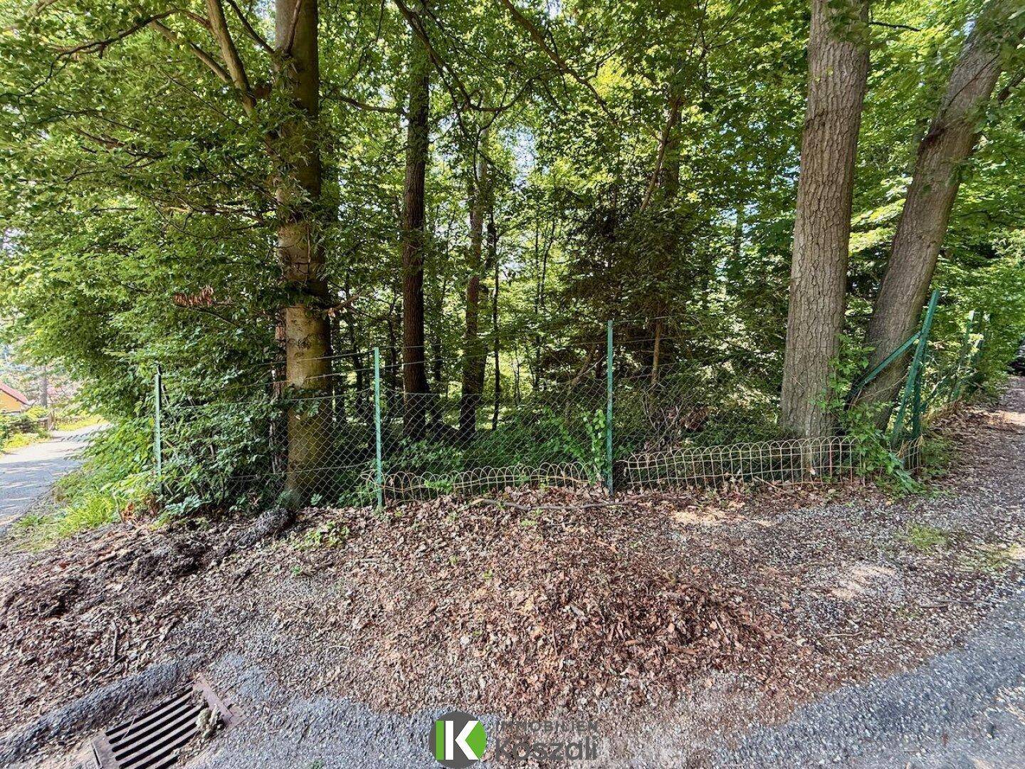 Ein bewaldetes Grundstück mit einfacher Drahtzaunbegrenzung und altem Baumbestand.