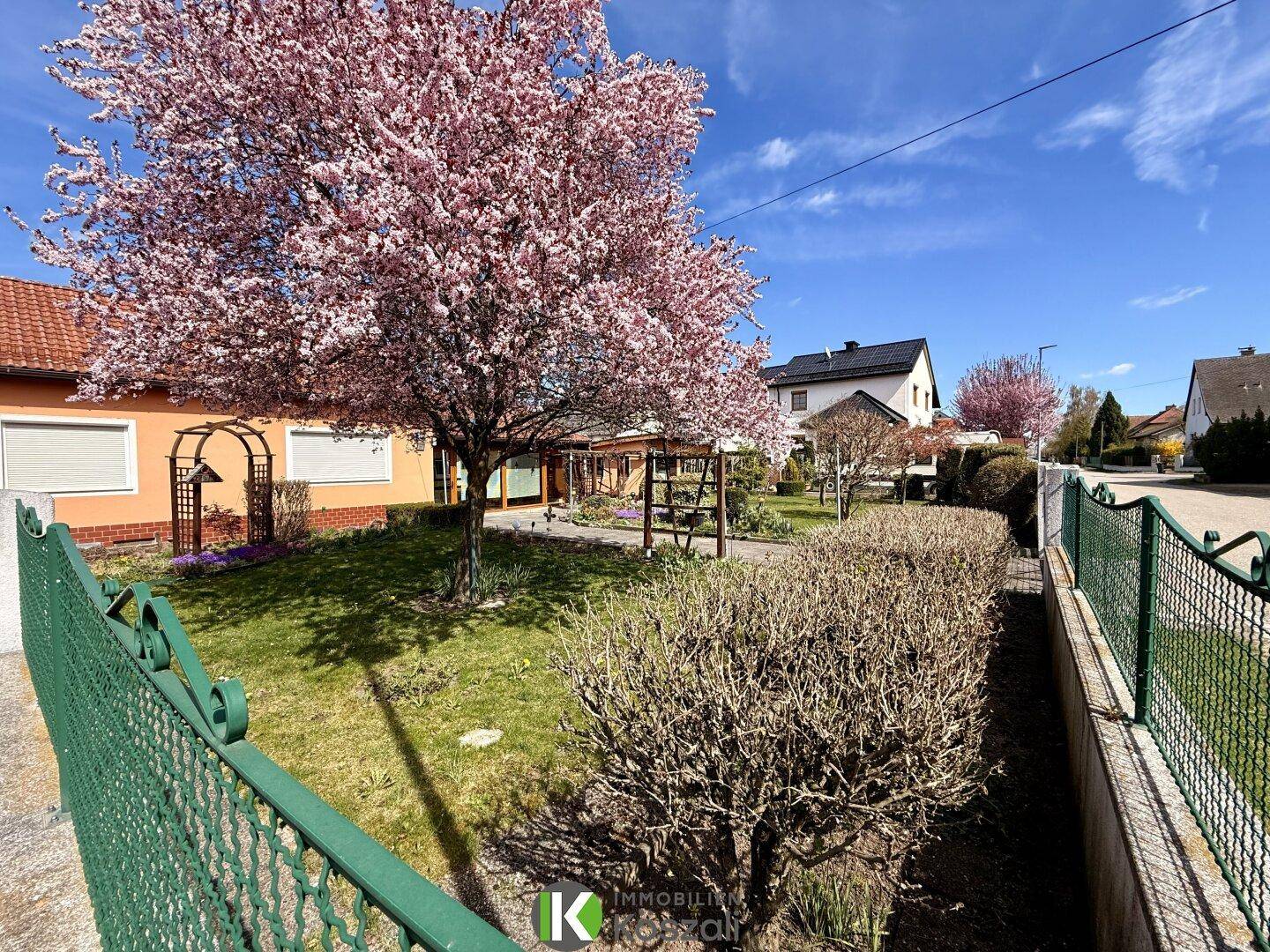 Vorgarten mit blühendem Baum, grünem Zaun und Blick auf die ruhige Wohnstraße.